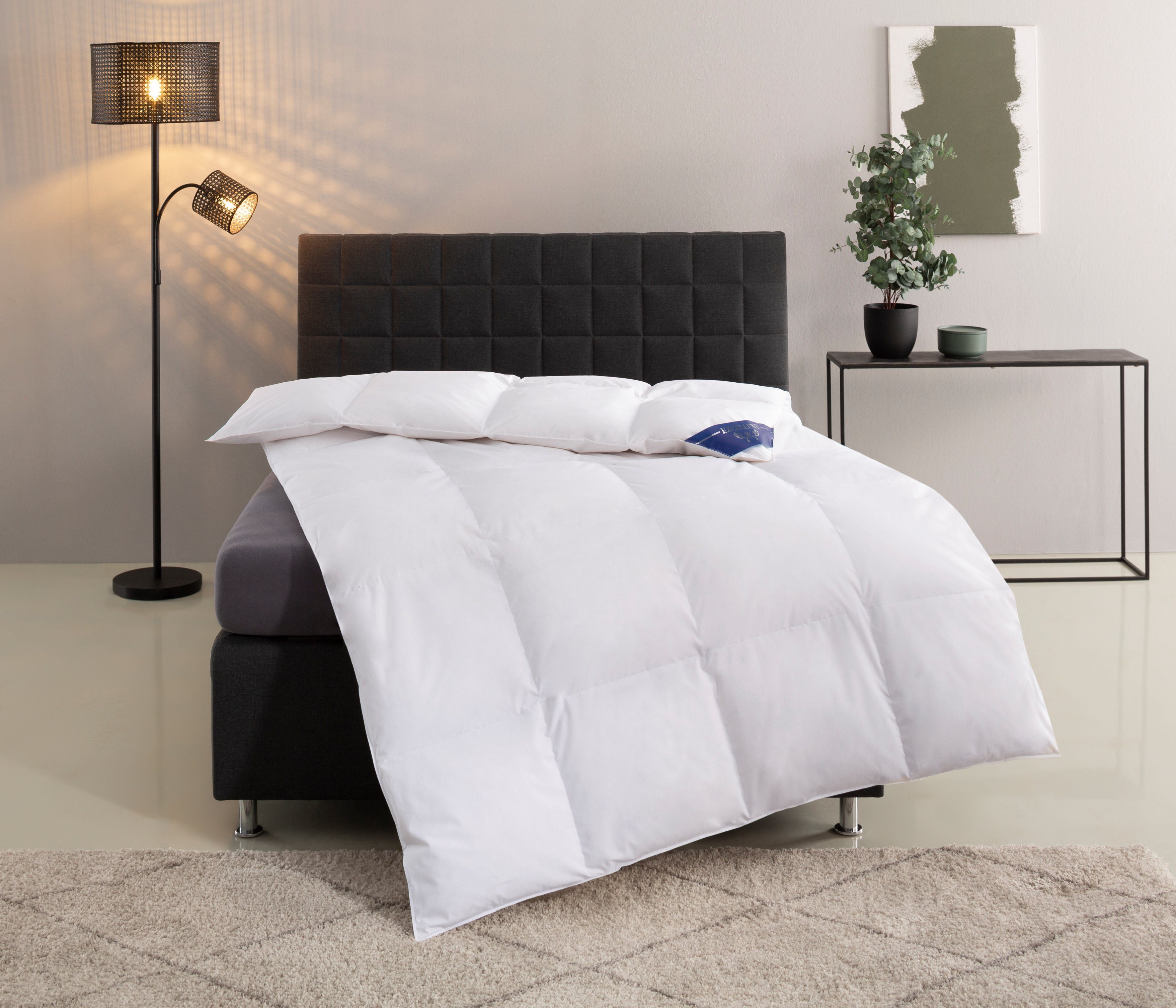 Excellent Donzen dekbed VENEDIG, dekbedden voor zomer en winter, dekbed 135 x 200 cm, 155 x 200 cm en andere maten, Made in Germany Licht dekbedden