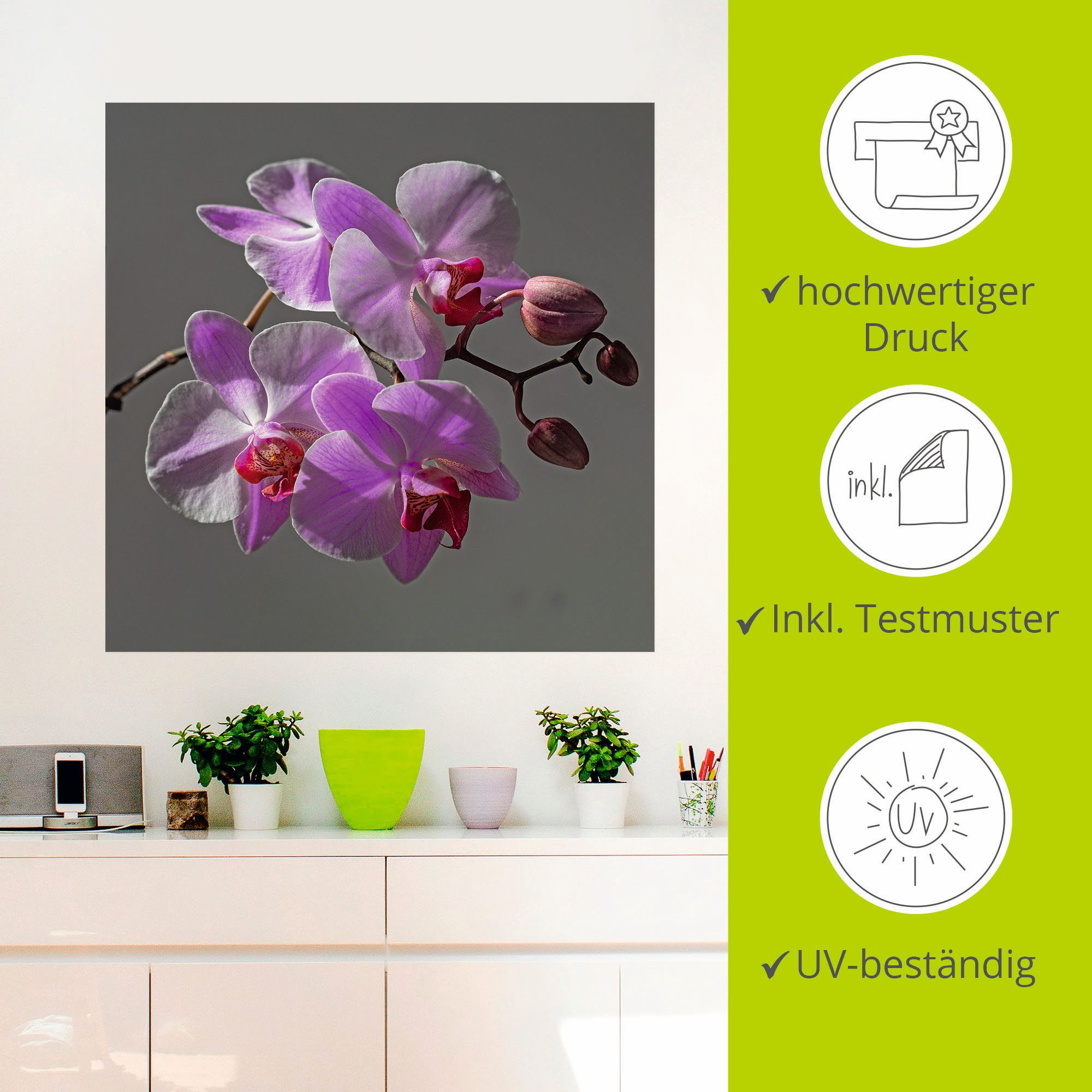 Artland Artprint Orchideeën Droom als artprint op linnen, muursticker in verschillende maten