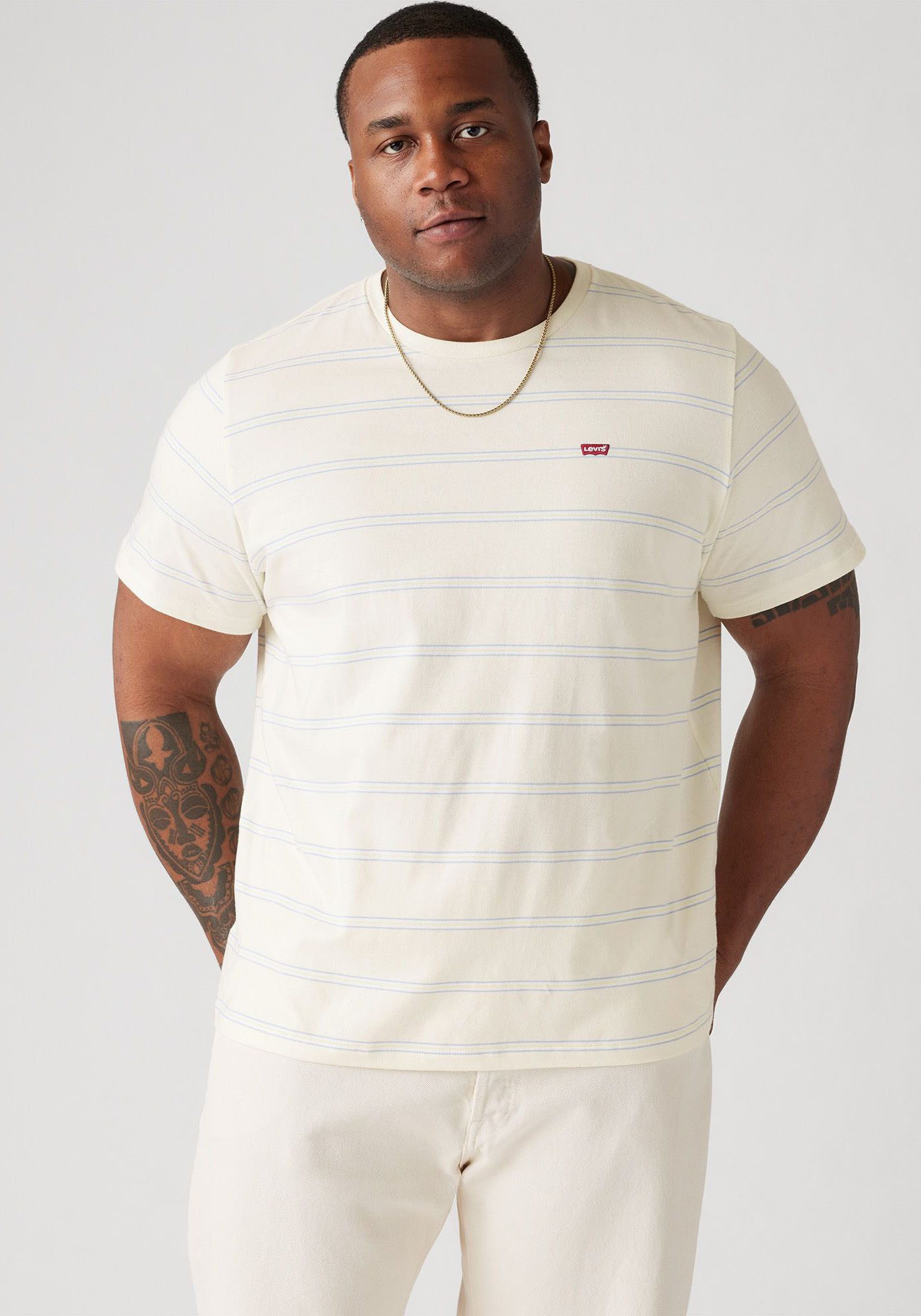 Levi's Plus Shirt met ronde hals BIG ORIGINAL HM TEE met een gestreept design