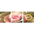 conni oberkircher´s beeld met klok diamant flower - bloem met diamanten met decoratieve klok (set) multicolor
