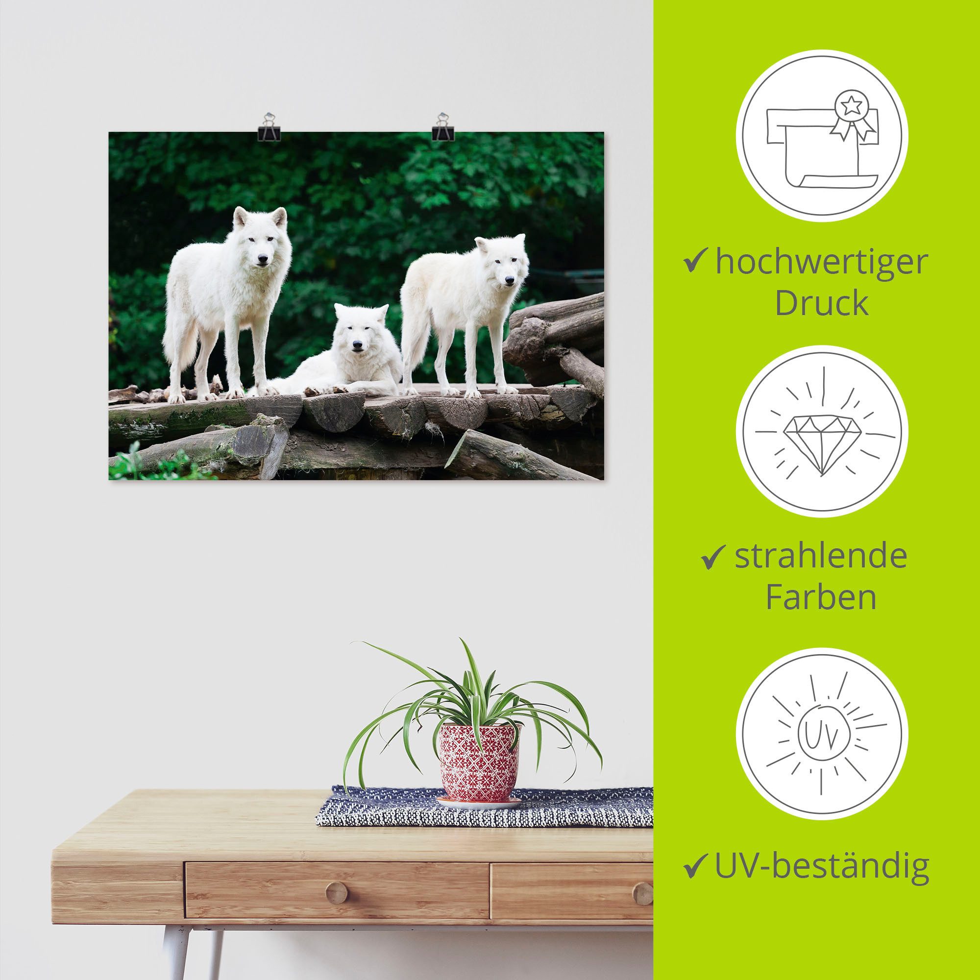 Artland Artprint Arctische wolven als artprint op linnen, poster in verschillende formaten maten