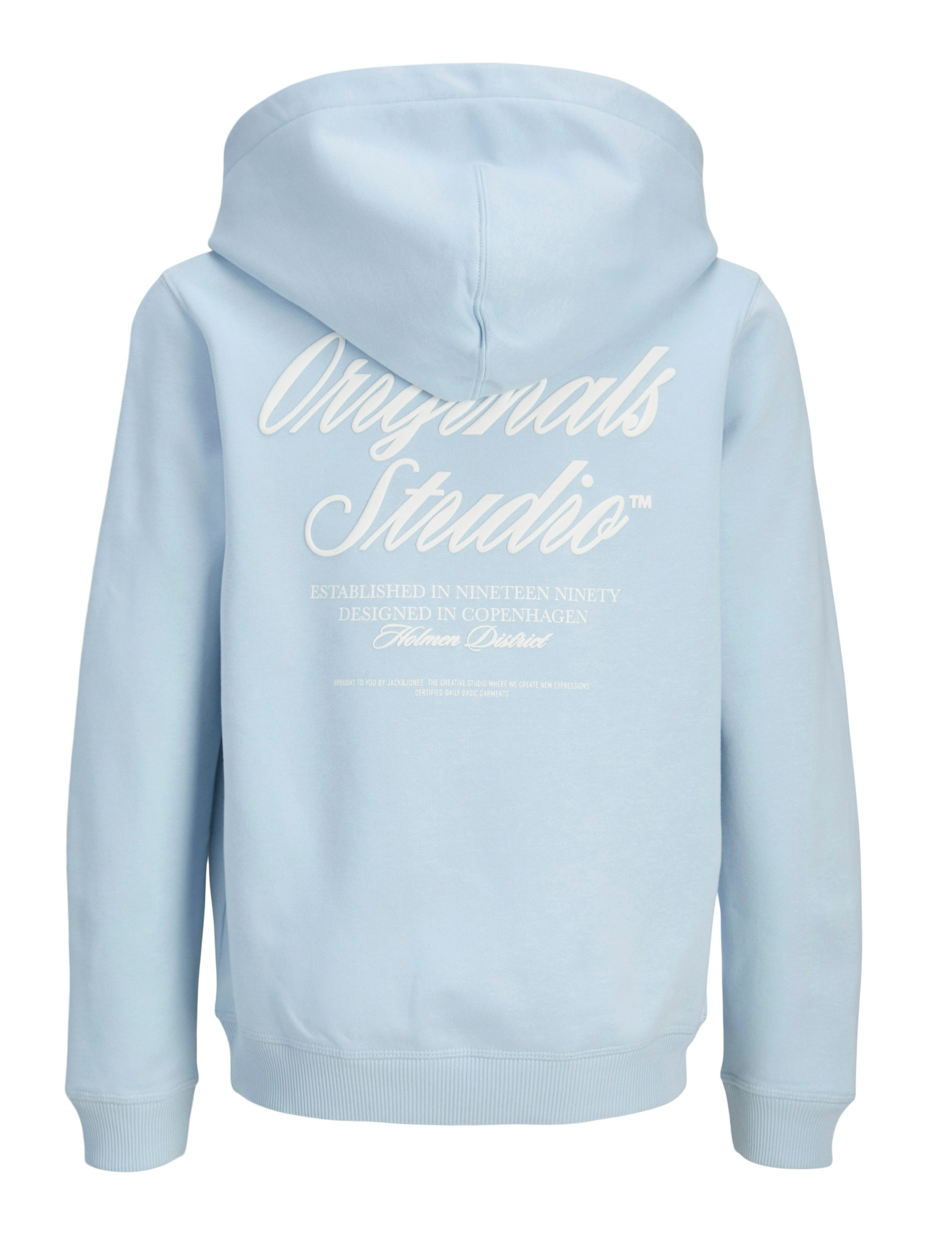 Jack & Jones Junior Hoodie JORNORREBRO TYPO BACK SWEAT HOOD SN JNR