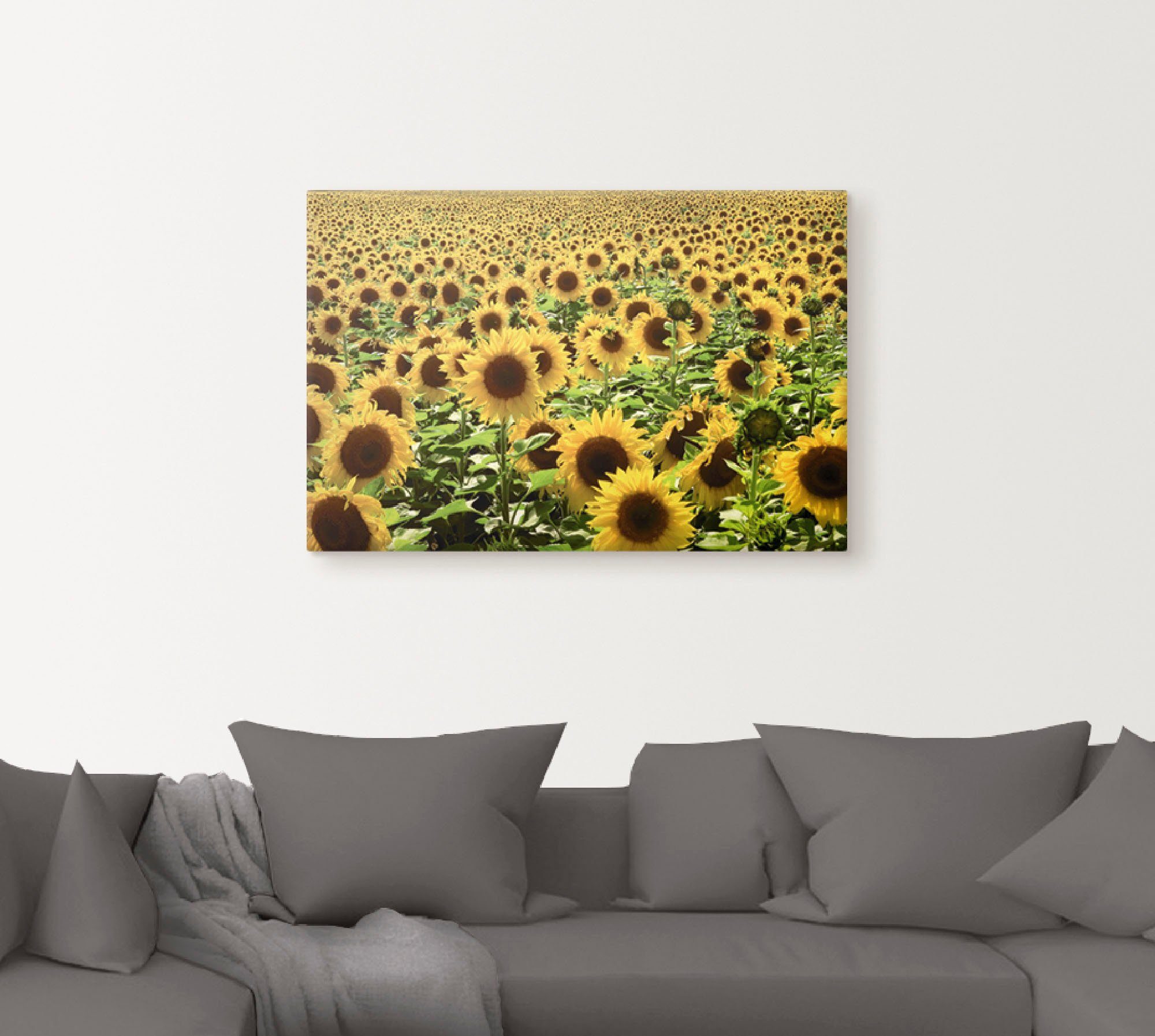 Artland Artprint Zonnebloemveld als artprint van aluminium, artprint voor buiten, artprint op linnen, poster in verschillende maten. maten
