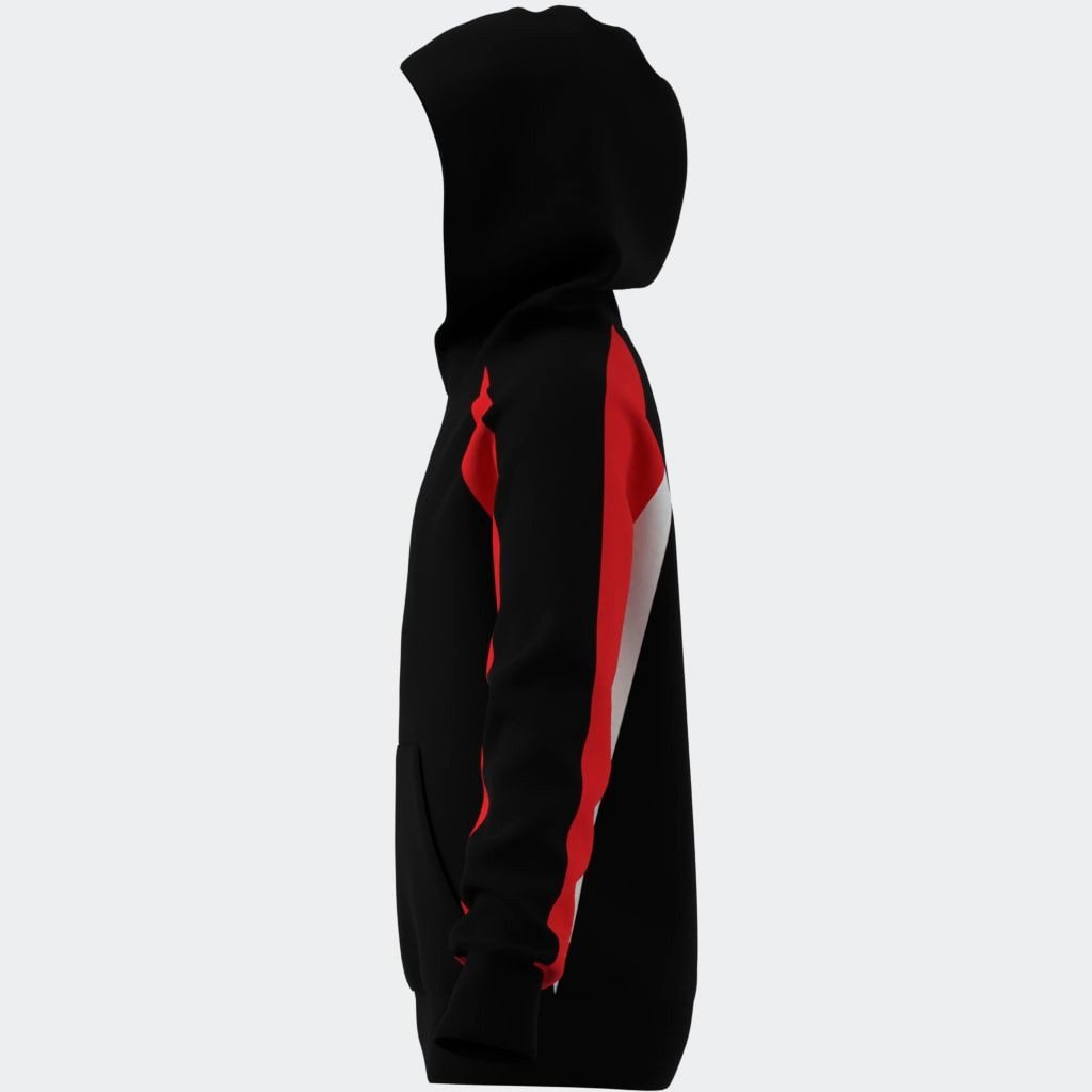 adidas Sportswear Hoodie J CB FL HD