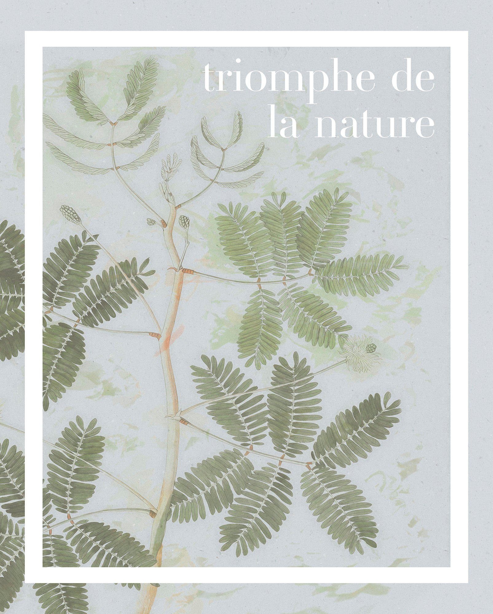 Komar Artprint Triomphe de la nature