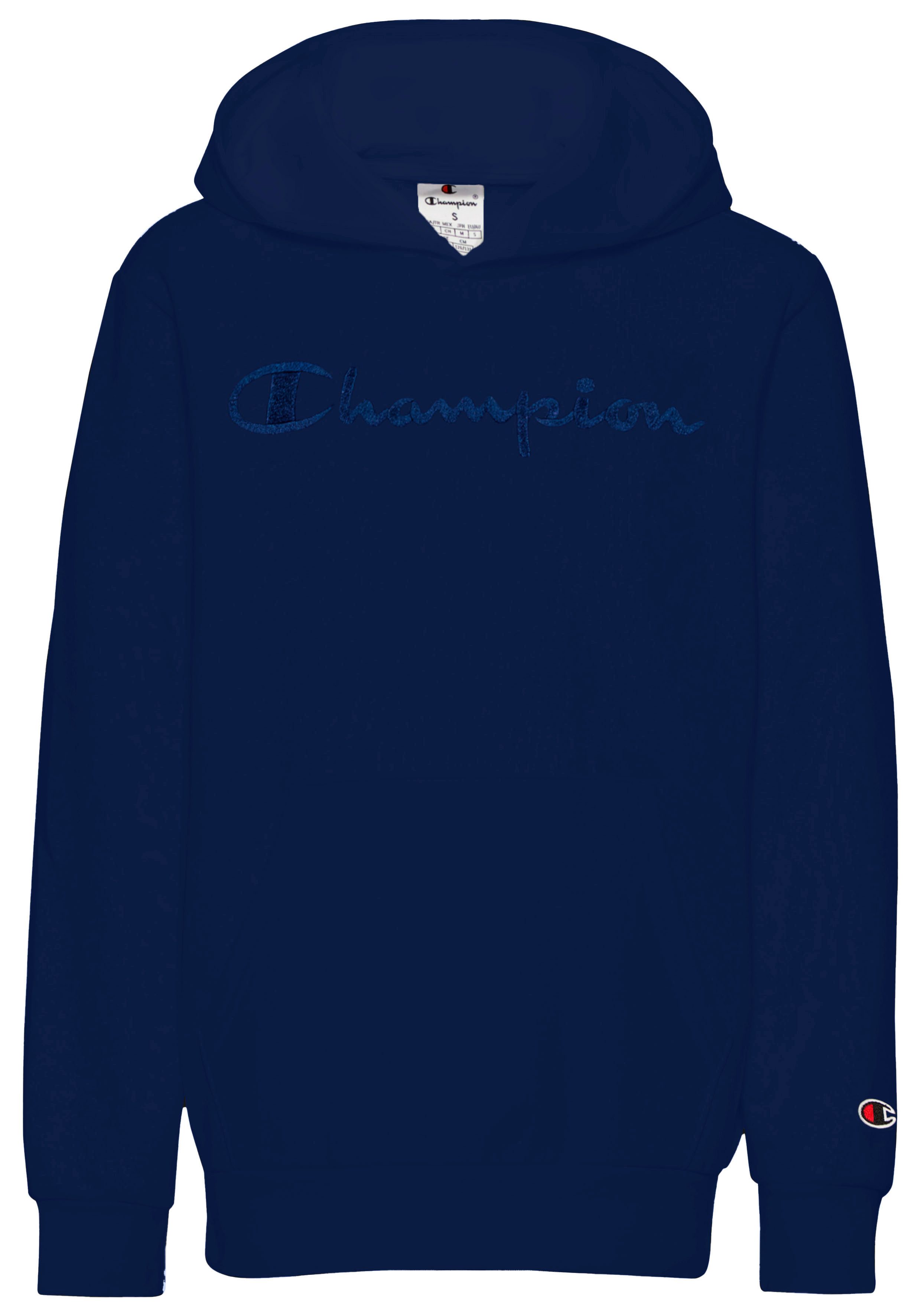 Champion Hoodie ICONS Hoodie Large Tonal Logo