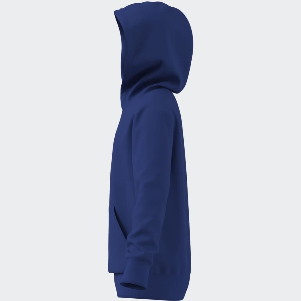 adidas Sportswear Hoodie J SL FL HD 225