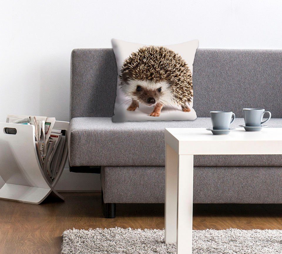 queence Sierkussen Veit Kussenhoes, egels, schattig, dierenmotief, schattig, natuurmotief, speels (1 stuk)