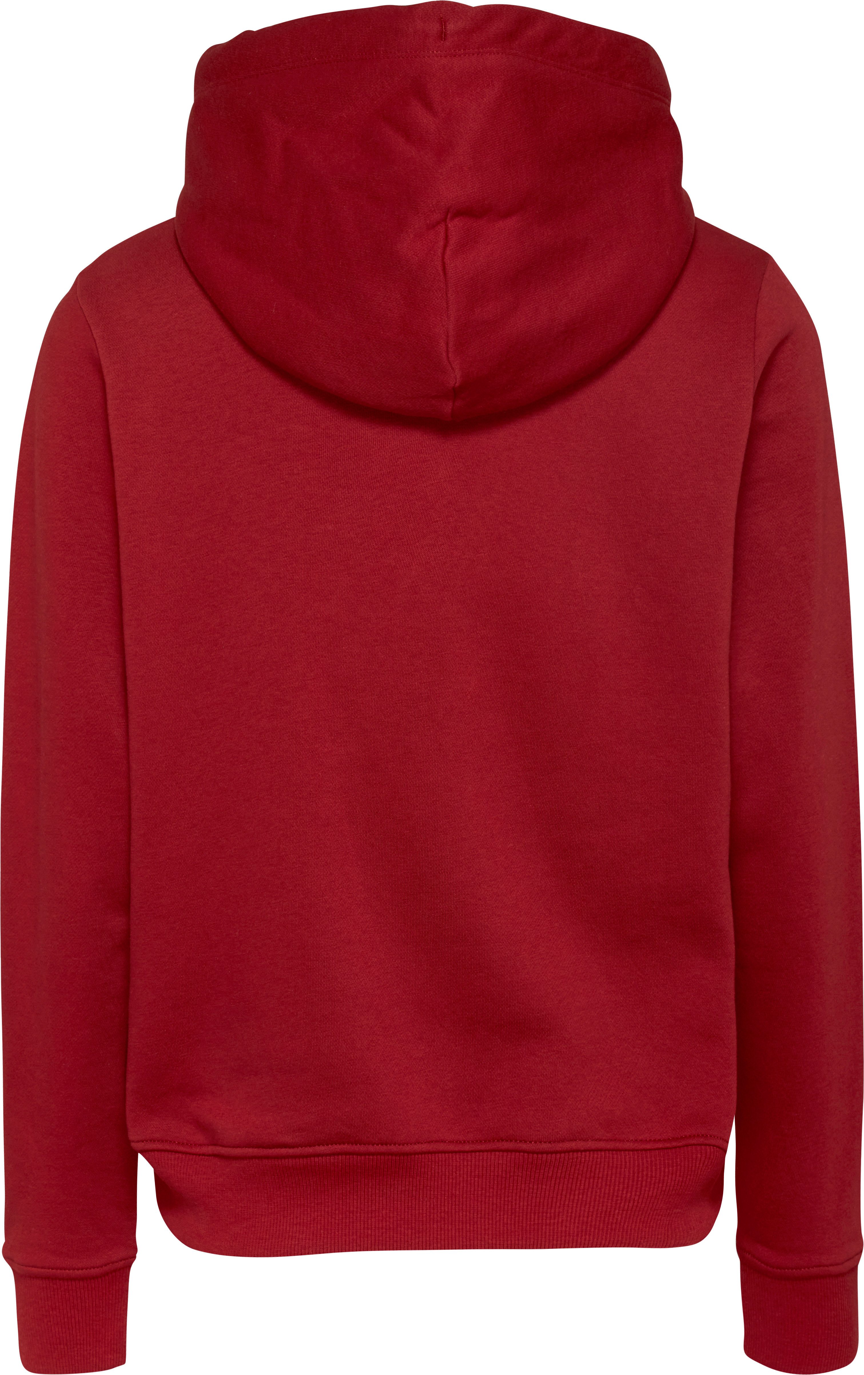 TOMMY JEANS Hoodie TJW REG LINEAR HOODIE met een logo-opschrift
