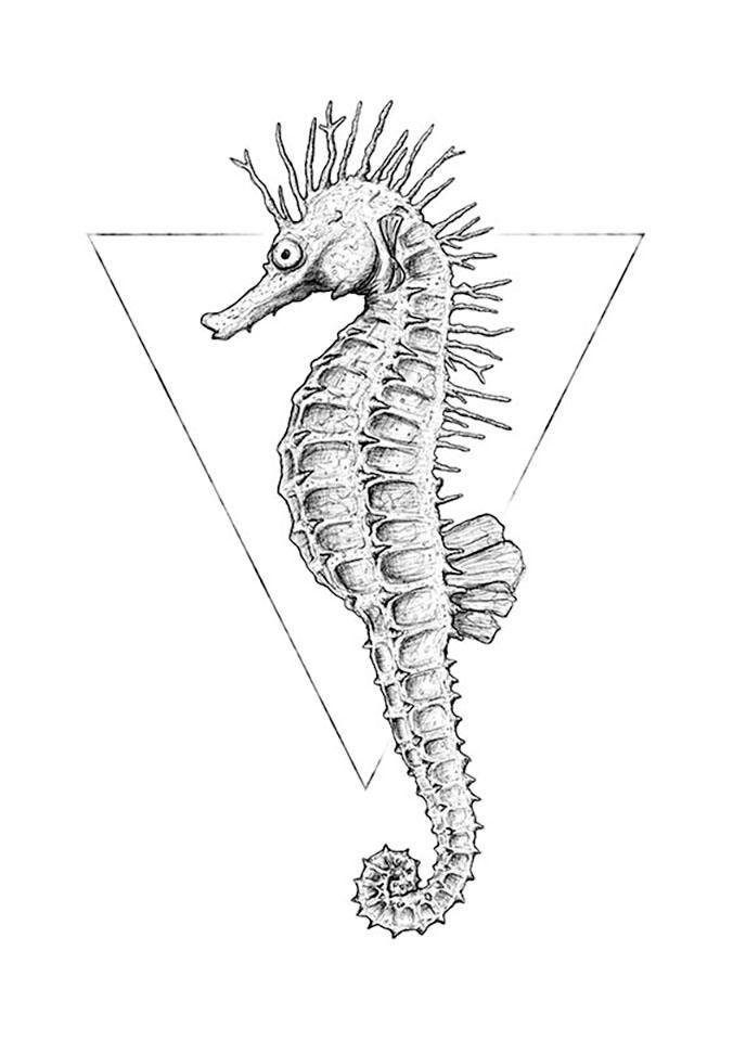 Komar Wanddecoratie Sea Horse white Wanddecoratie - zonder lijst (1 stuk)