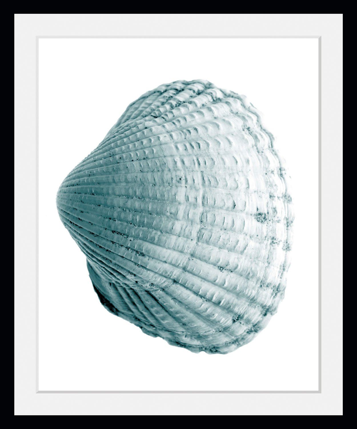 queence Wanddecoratie Leon HD premium posterdruk incl. houten lijst (1 stuk)