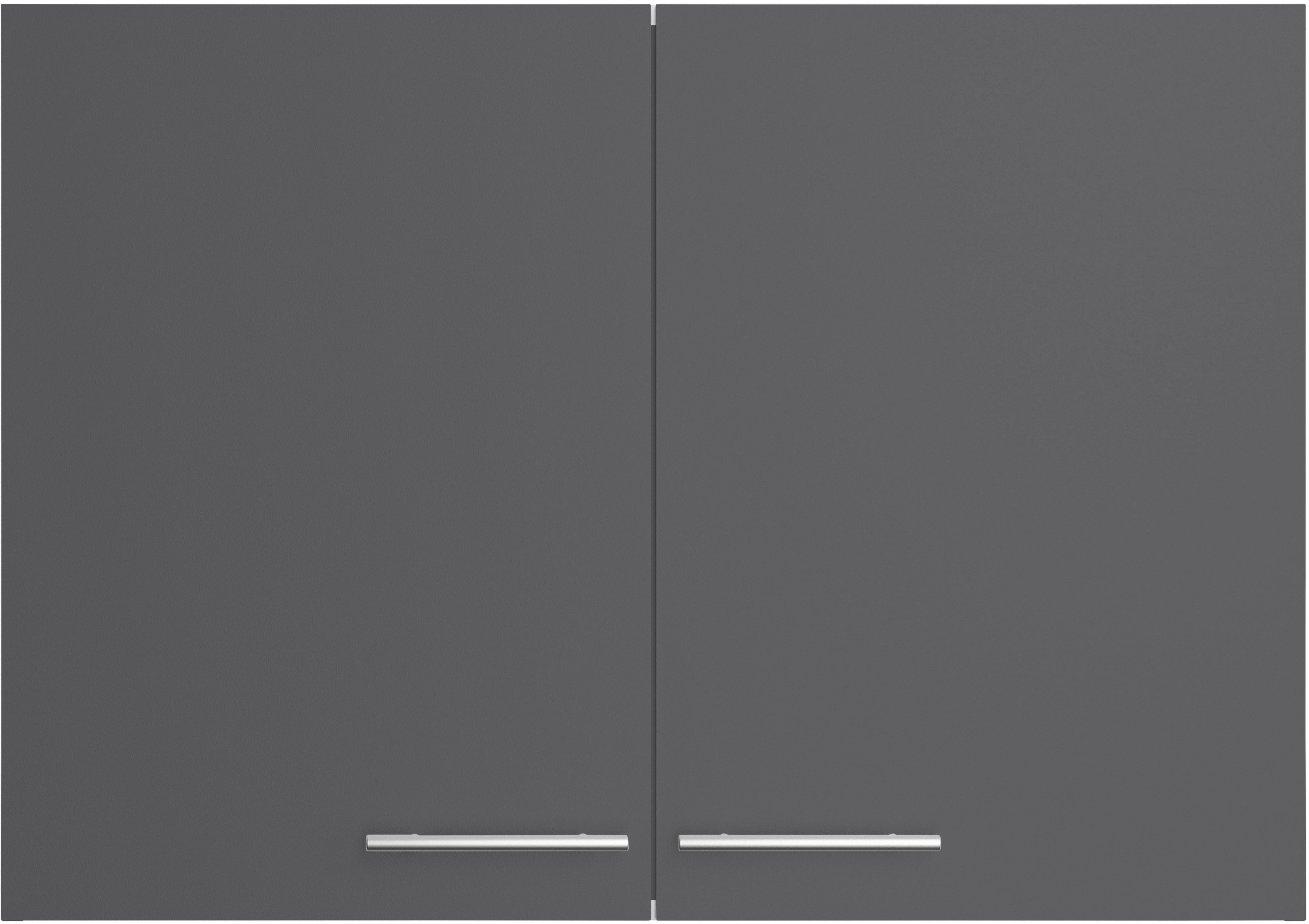 OPTIFIT Hangend kastje Lilly Breedte 100 cm, 2 deuren, 4 planken