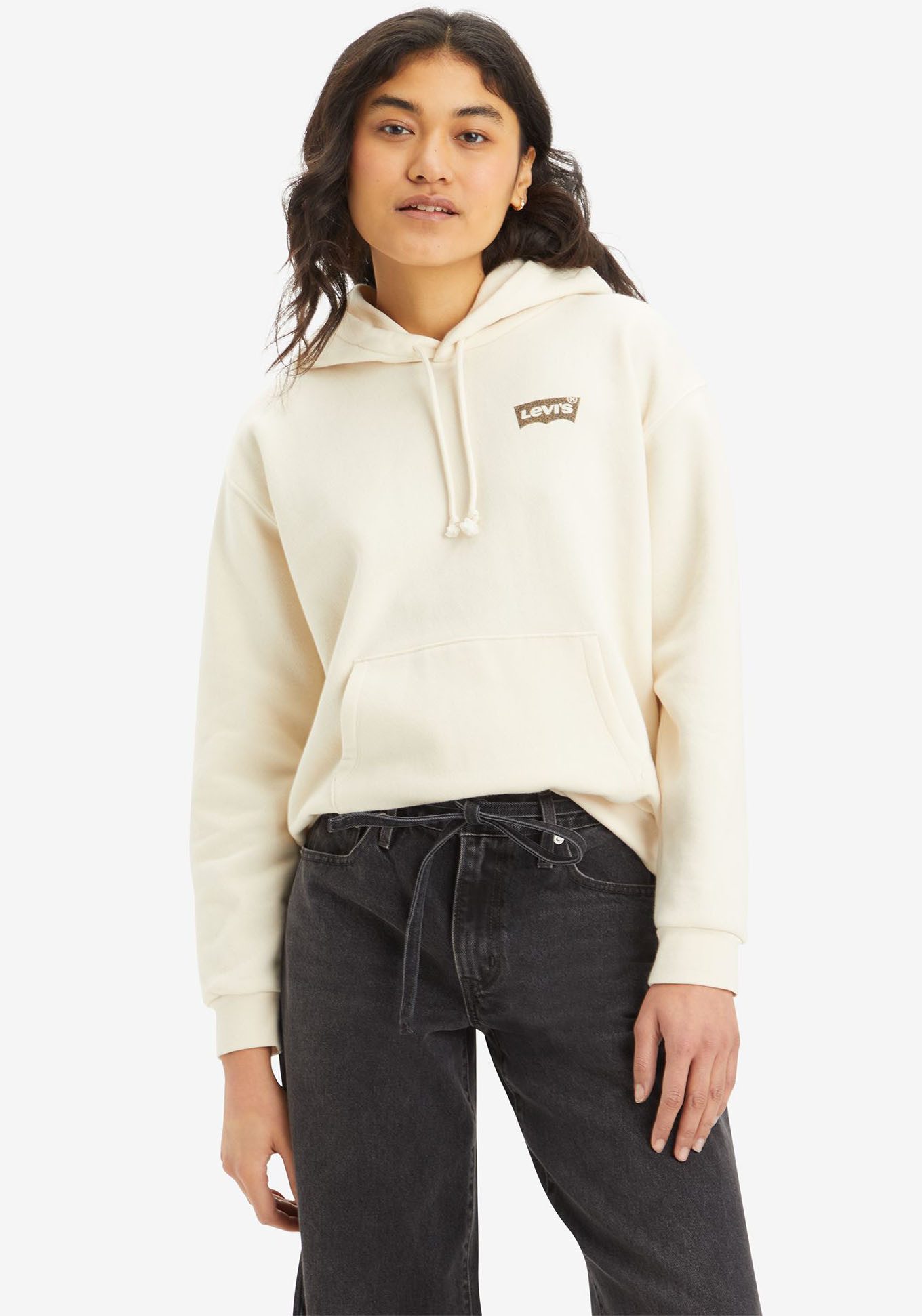 Levi's Hoodie GRAPHIC EVERYDAY HOODIE