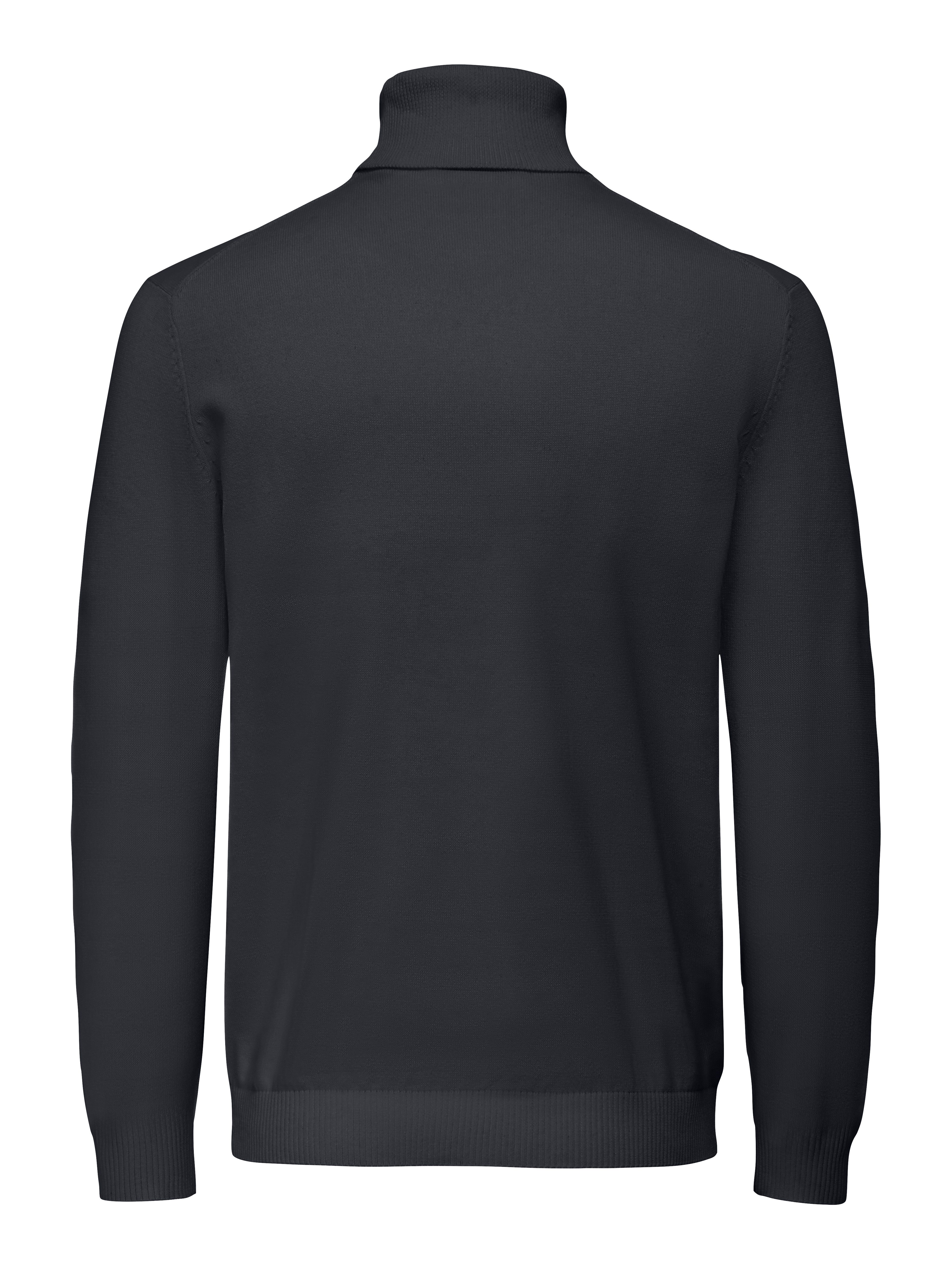 ONLY & SONS Coltrui ONSHOLGER REG ROLL NECK KNIT - OTL