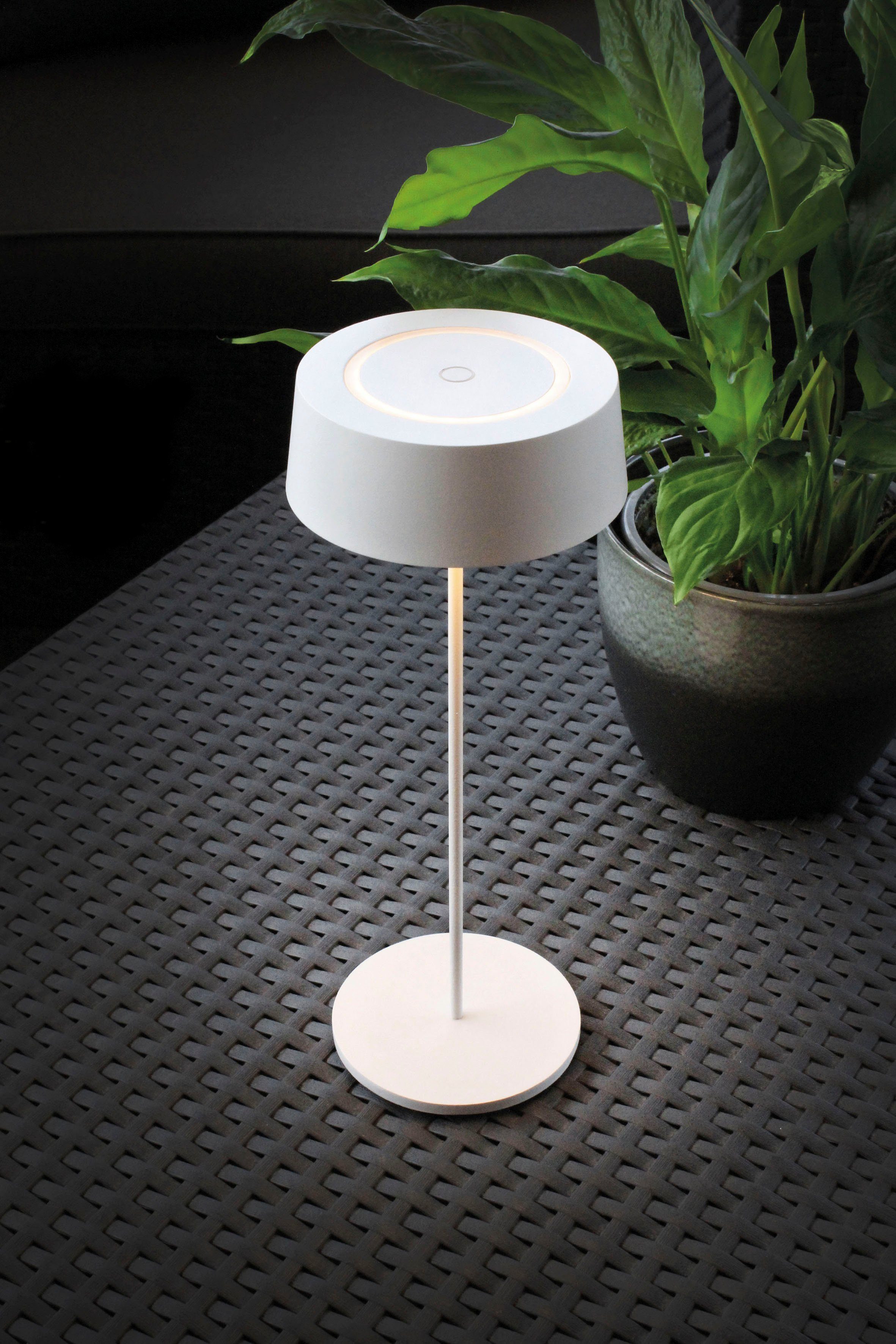 ECO-LIGHT Led-tafellamp Cocktail SCHÖNER WOHNEN DESIGN AWARD (1 stuk)