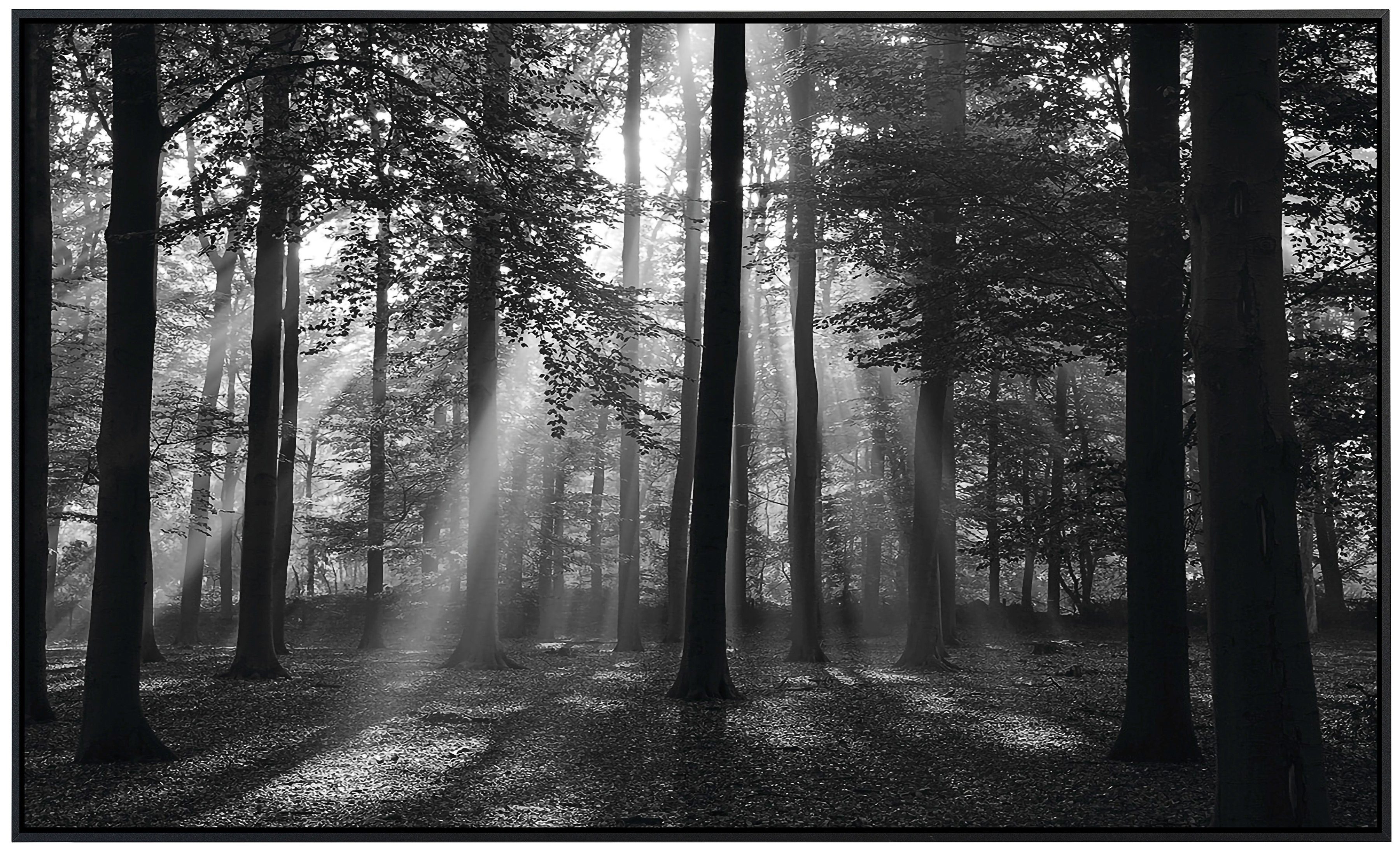 Papermoon Infraroodverwarming Forrest morgen in zwart & wit zeer aangename stralingswarmte