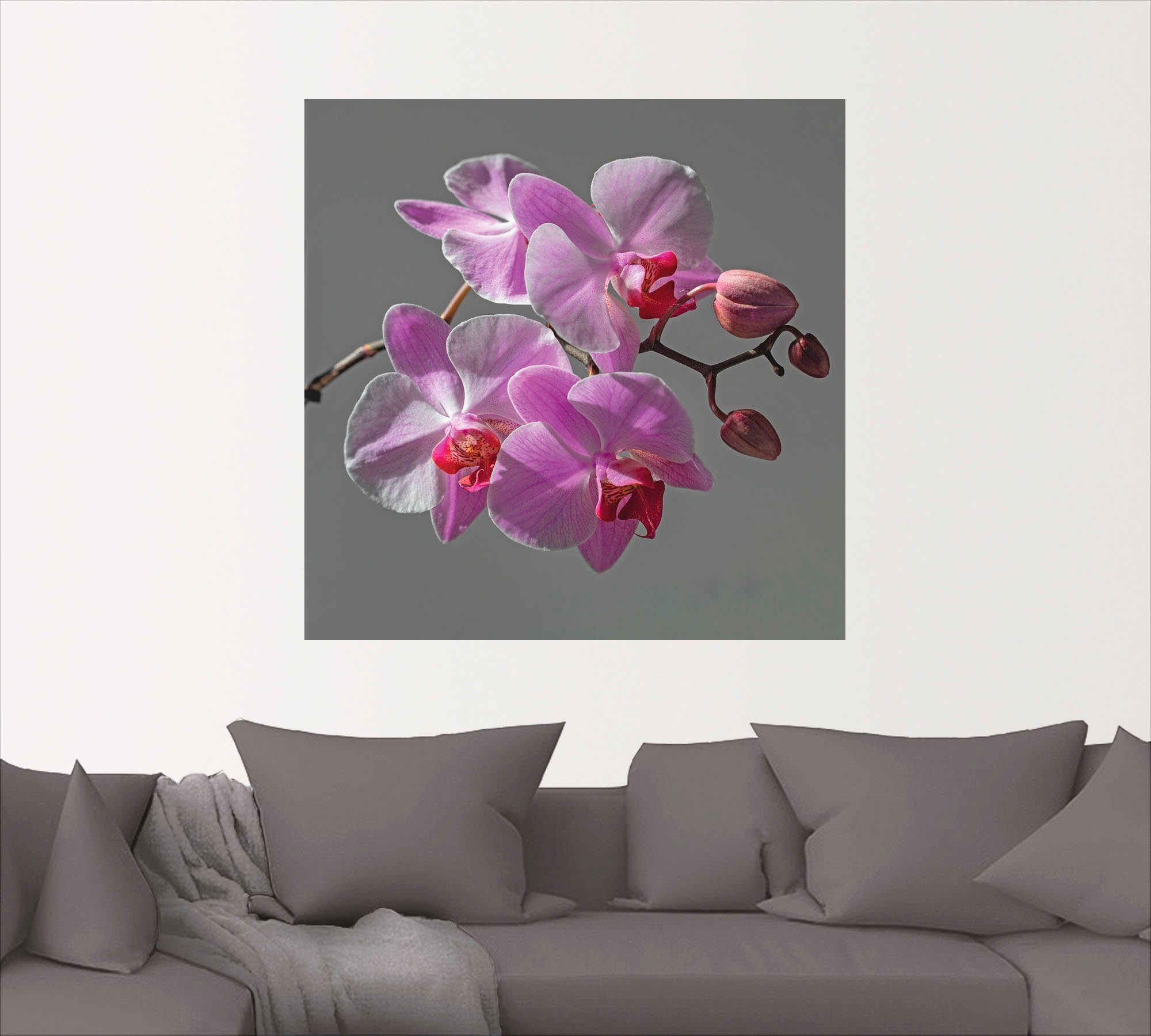 Artland Artprint Orchideeën Droom als artprint op linnen, muursticker in verschillende maten
