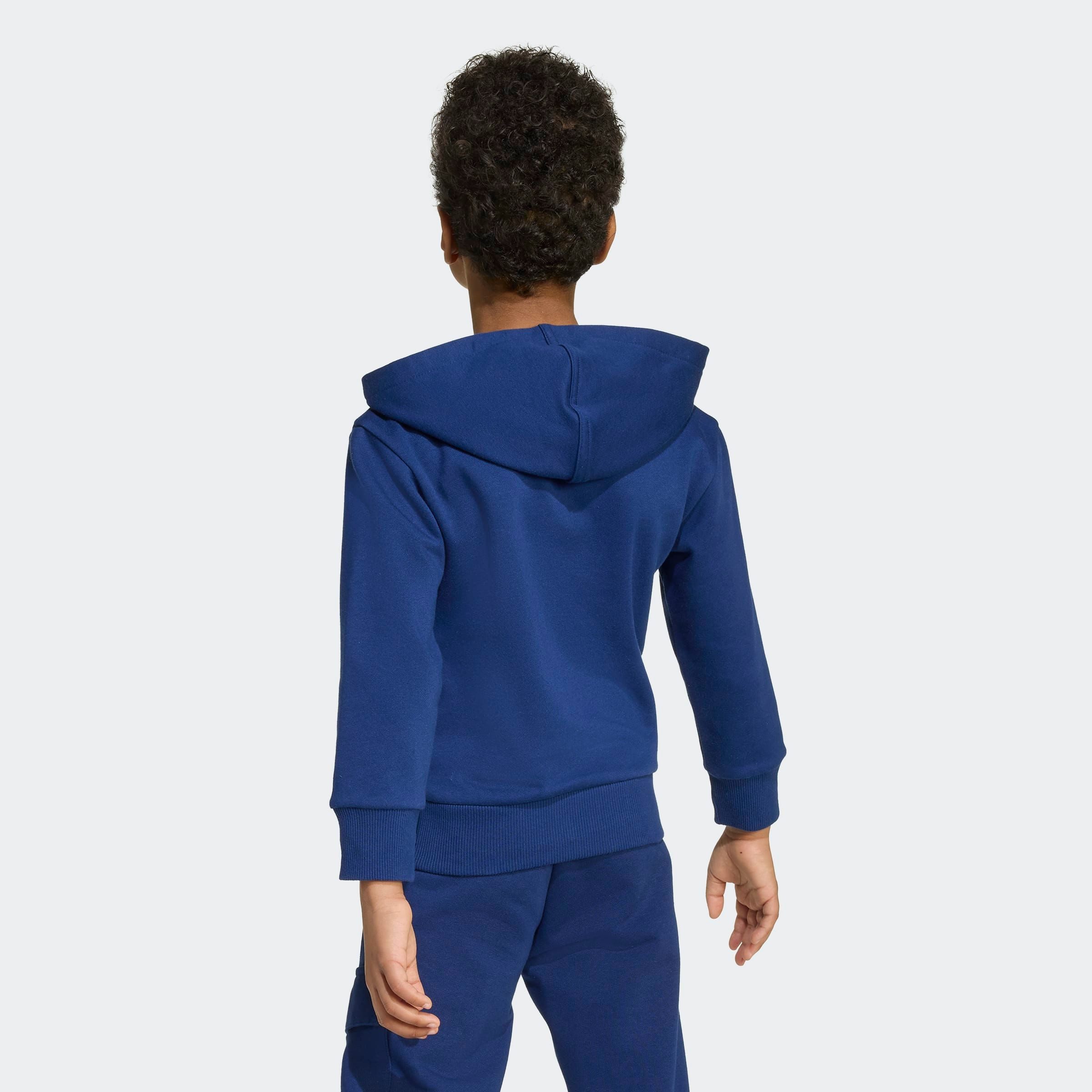 adidas Sportswear Hoodie LK SL FL HD