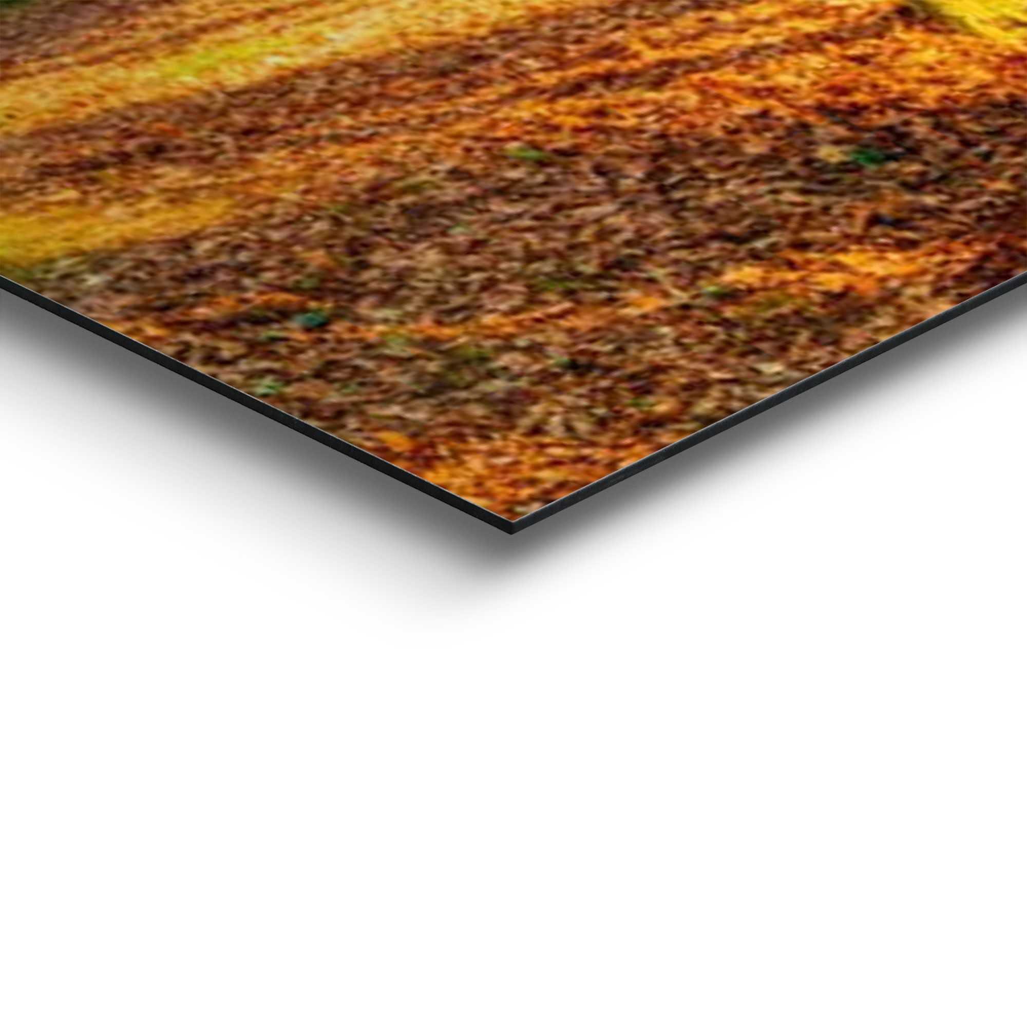 Reinders! Artprint Zonnig bos