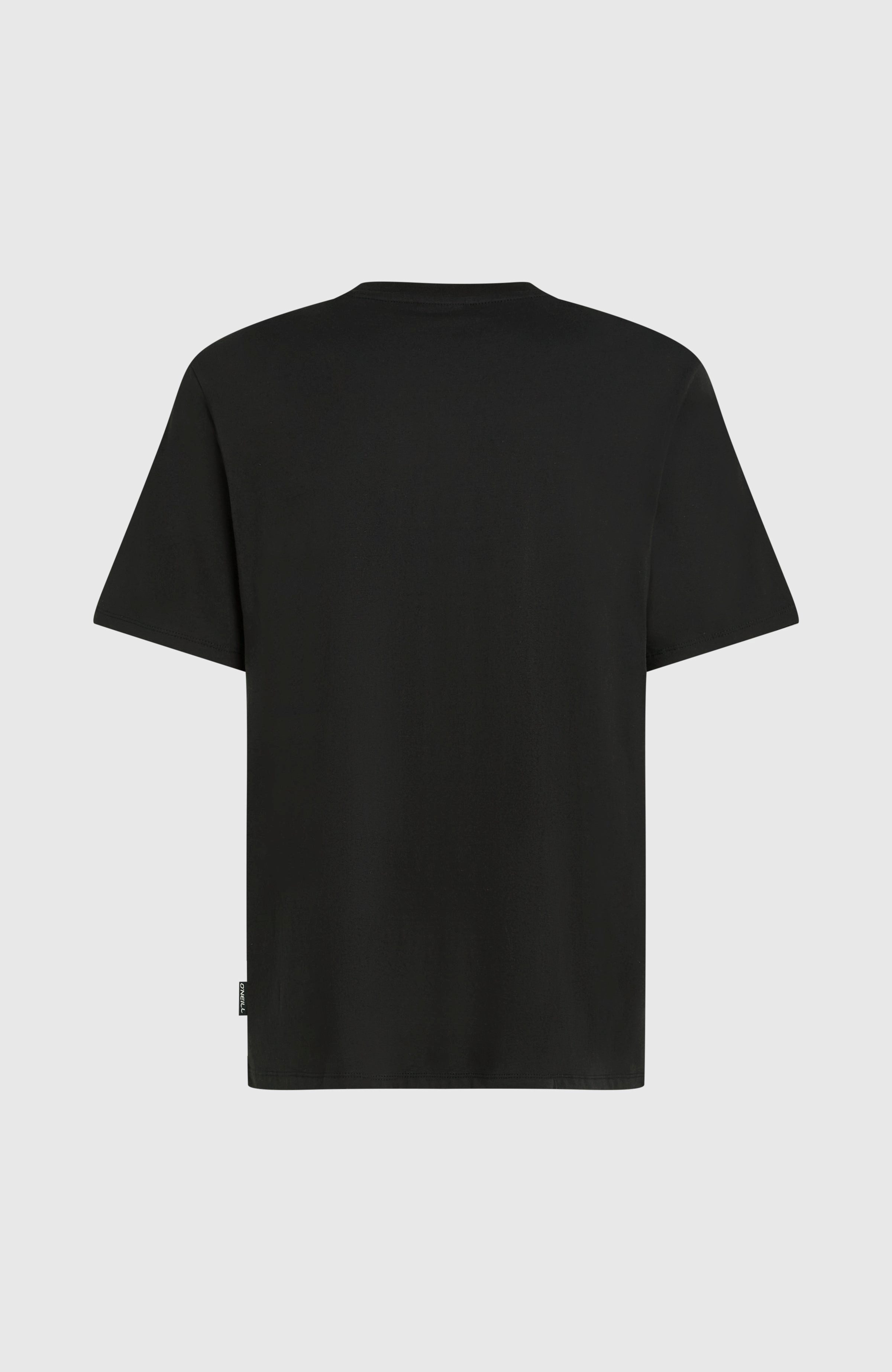 O'Neill T-shirt O'NEILL GRAPHIC T-SHIRT (1-delig)