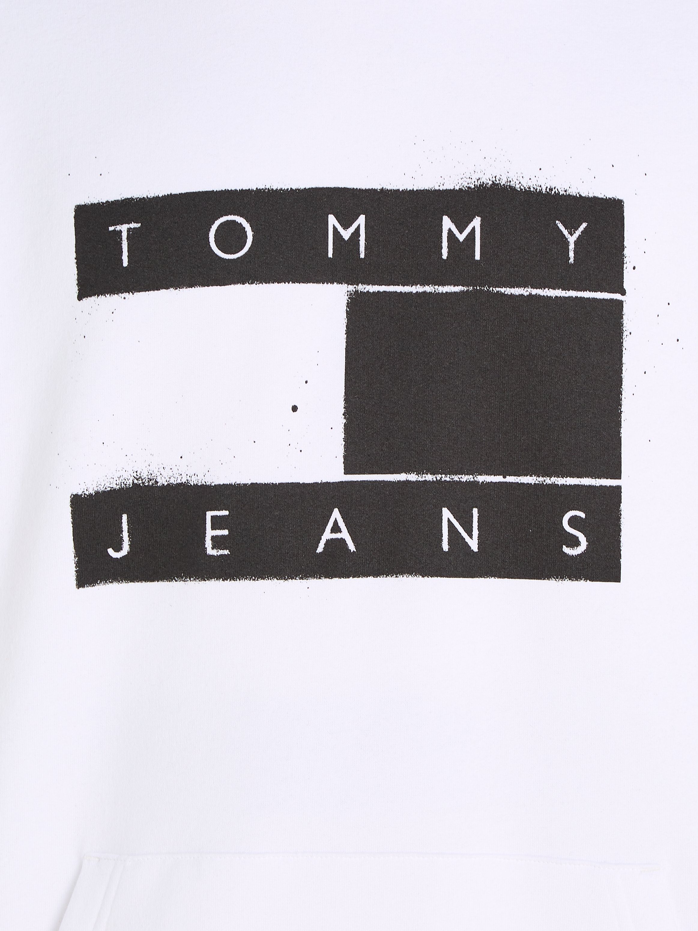TOMMY JEANS Hoodie TJM REG FLAG SPRAY HOODIE