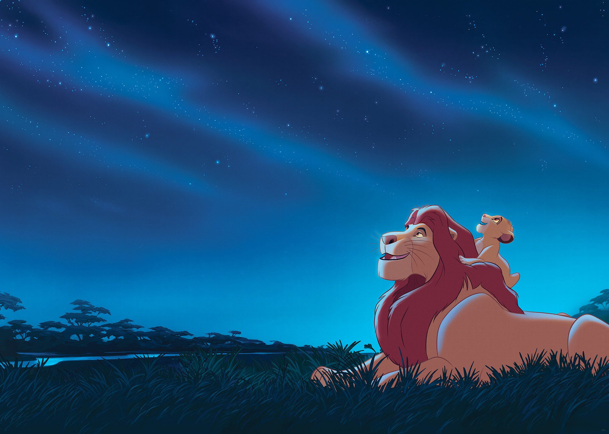 Komar Kinderbehang Disney The Lion King Stargazing (1 stuk)