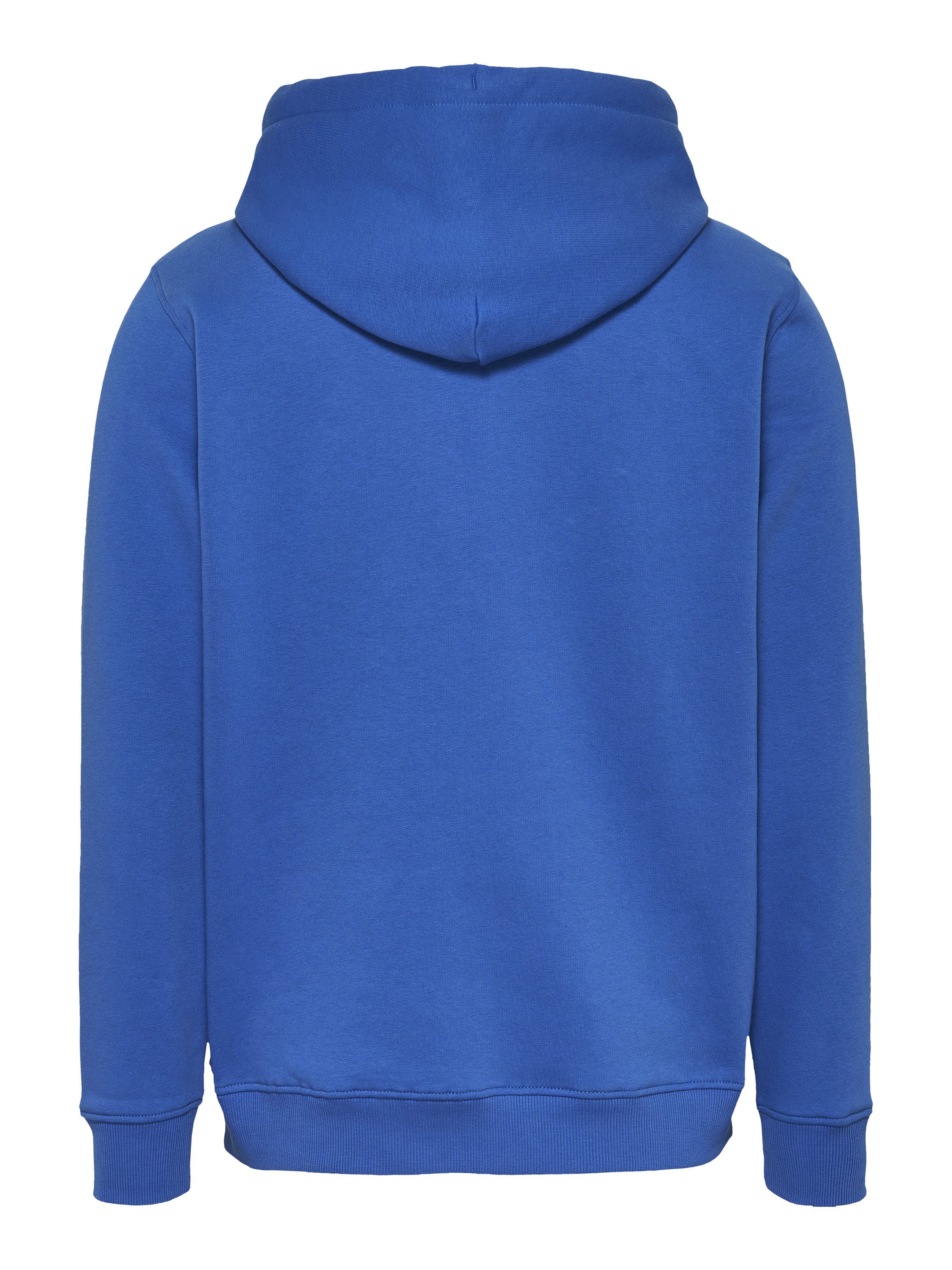 Tommy Jeans Plus Hoodie TJM REG LINEAR LOGO HOODIE EXT