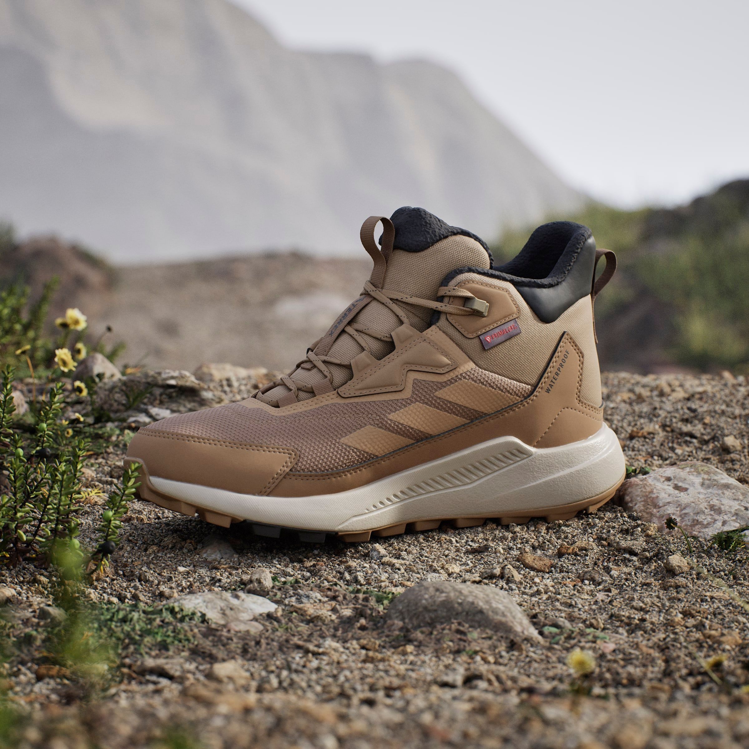 adidas TERREX Wandelschoenen TERREX ANYLANDER CLIMAWARM+ E