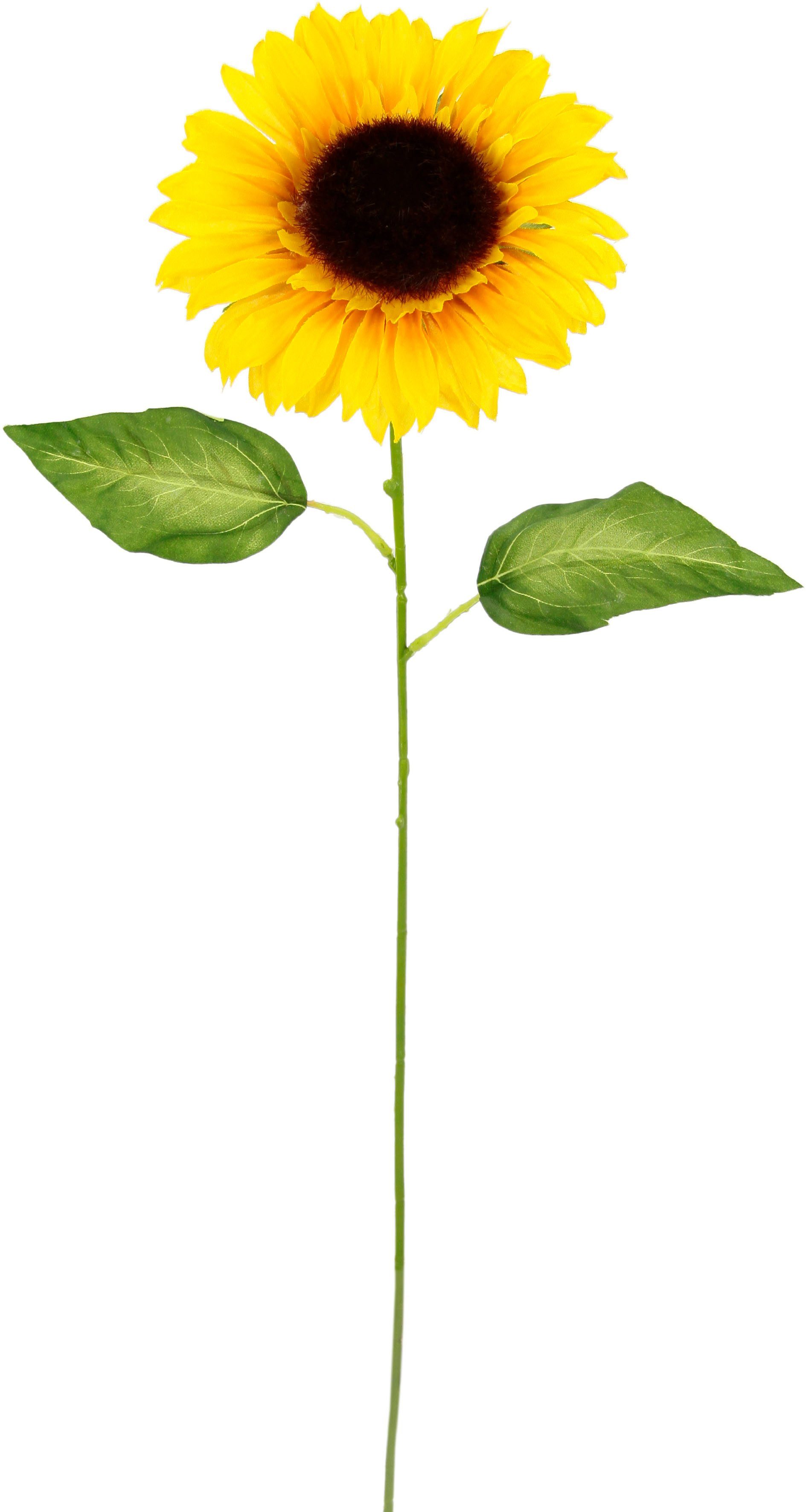 I.GE.A. Kunstbloem Zonnebloem Enkele bloem, steelbloem, 5-delige set (5 stuks)