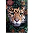 reinders! poster luipaard bloemen - planten - kleurrijk - dierenmotief (1 stuk) multicolor