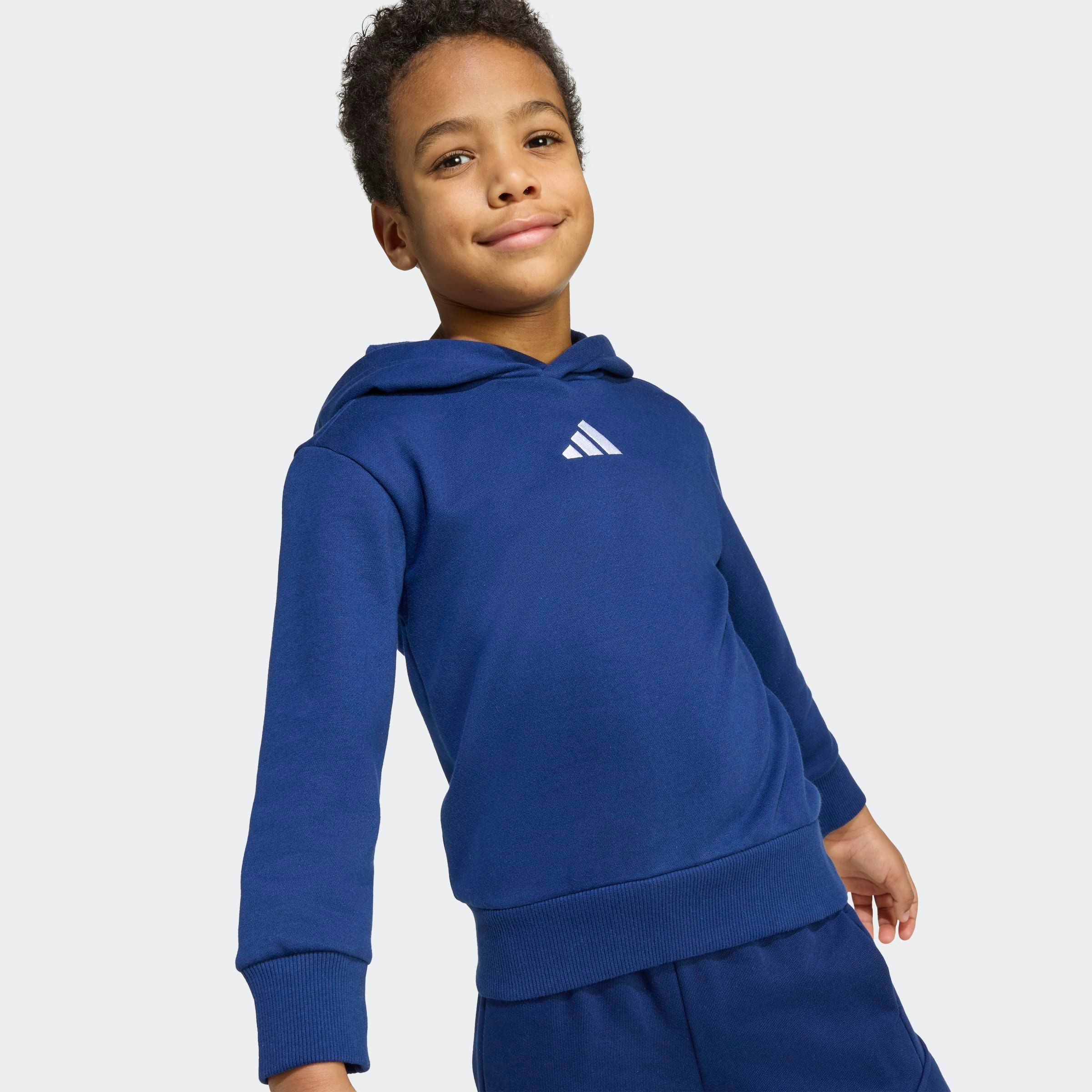 adidas Sportswear Hoodie LK SL FL HD