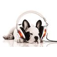 boenninghoff artprint op linnen hond met hoofdtelefoon (1 stuk) wit