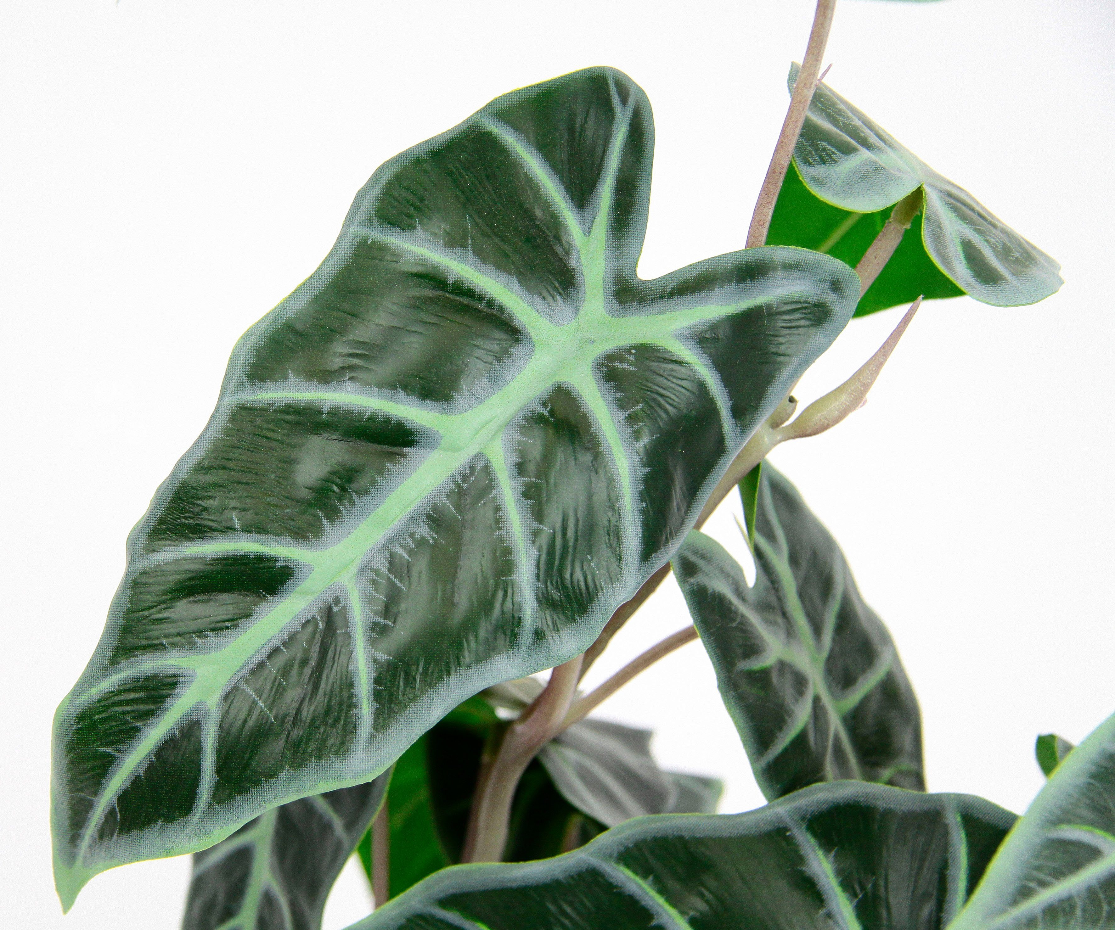 I.GE.A. Kunstplant Calathea Kunstplant, zijden bloemen, kamerplant, Zebrina, Alocasia Sanderiana (1 stuk)