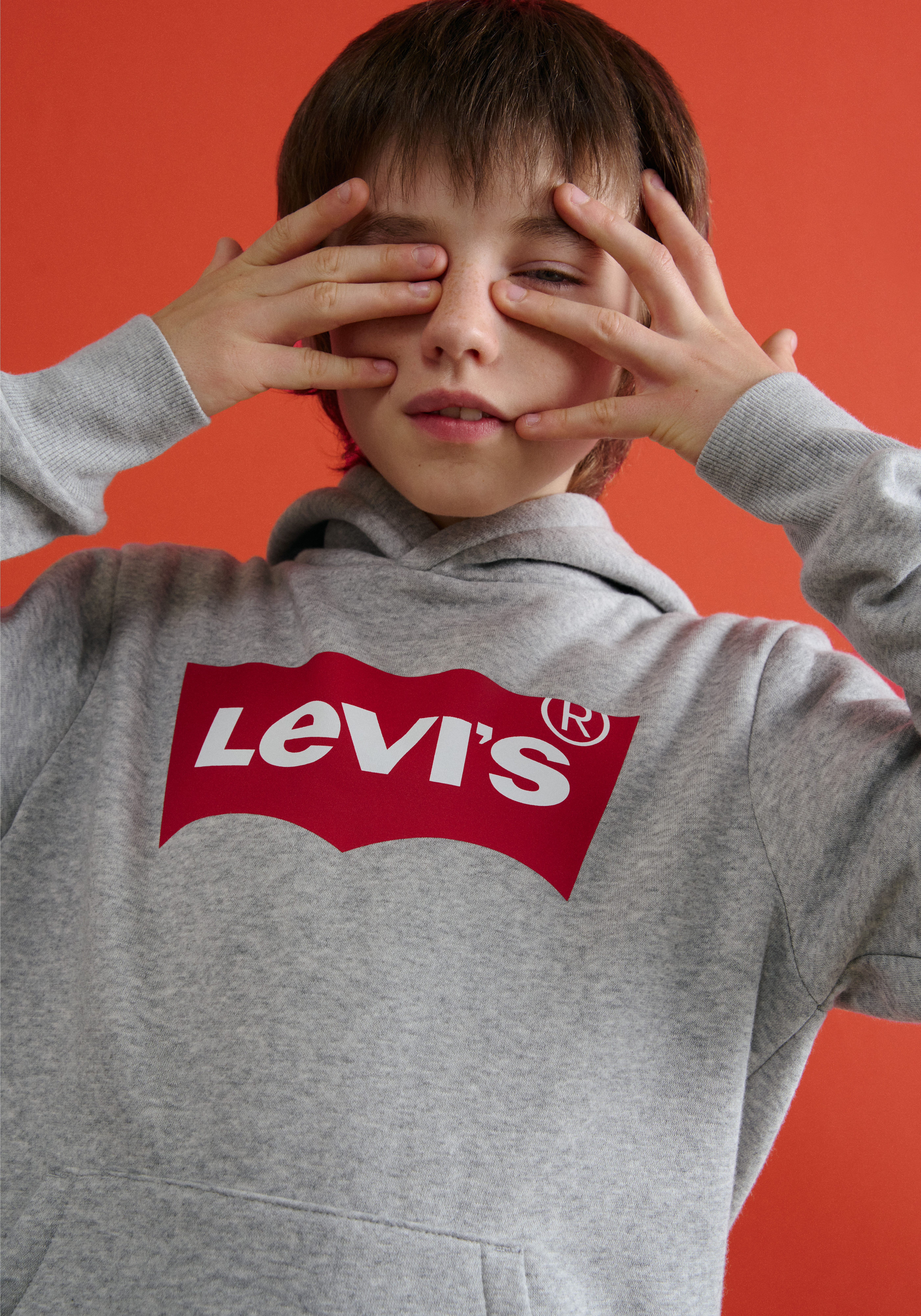 Levi's Kidswear Hoodie LVB BATWING PULLOVER HOODIE