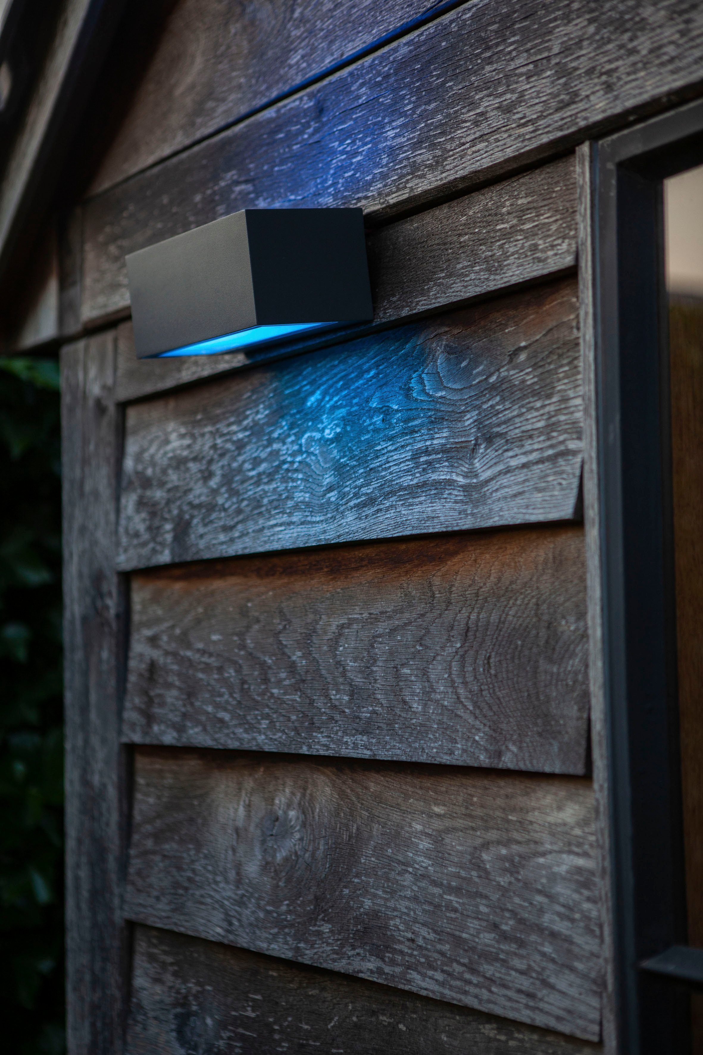 LUTEC Slimme ledlamp Gemini Smart-home (1 stuk)