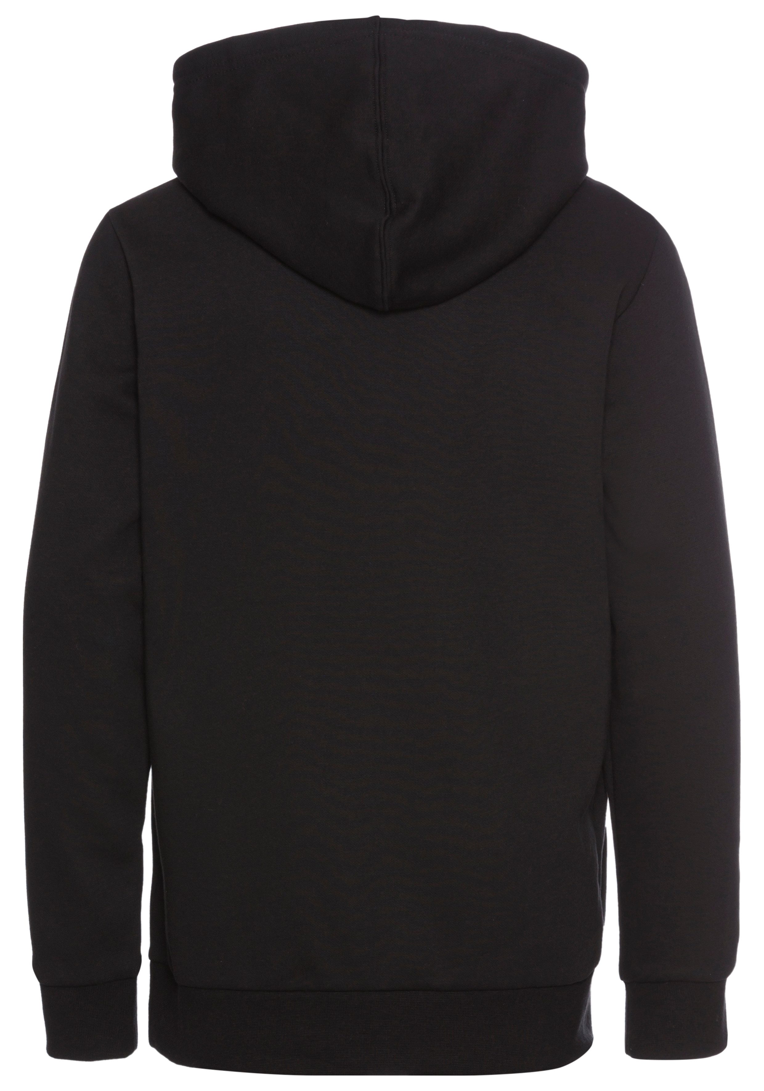Champion Hoodie HOODED sweatshirt