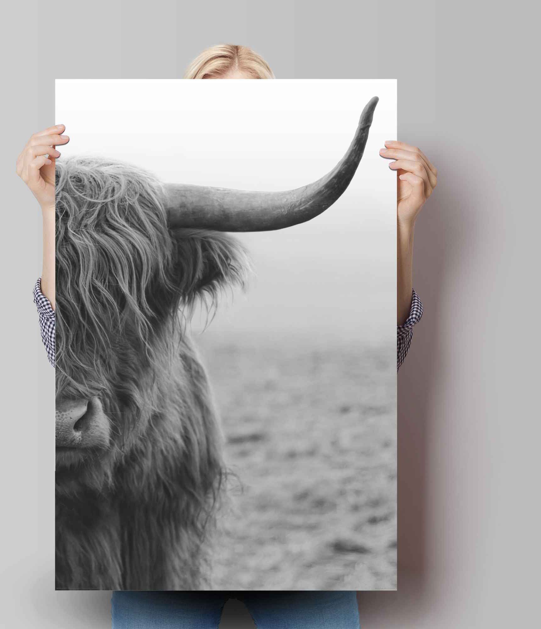 Reinders! Poster Highlander stier