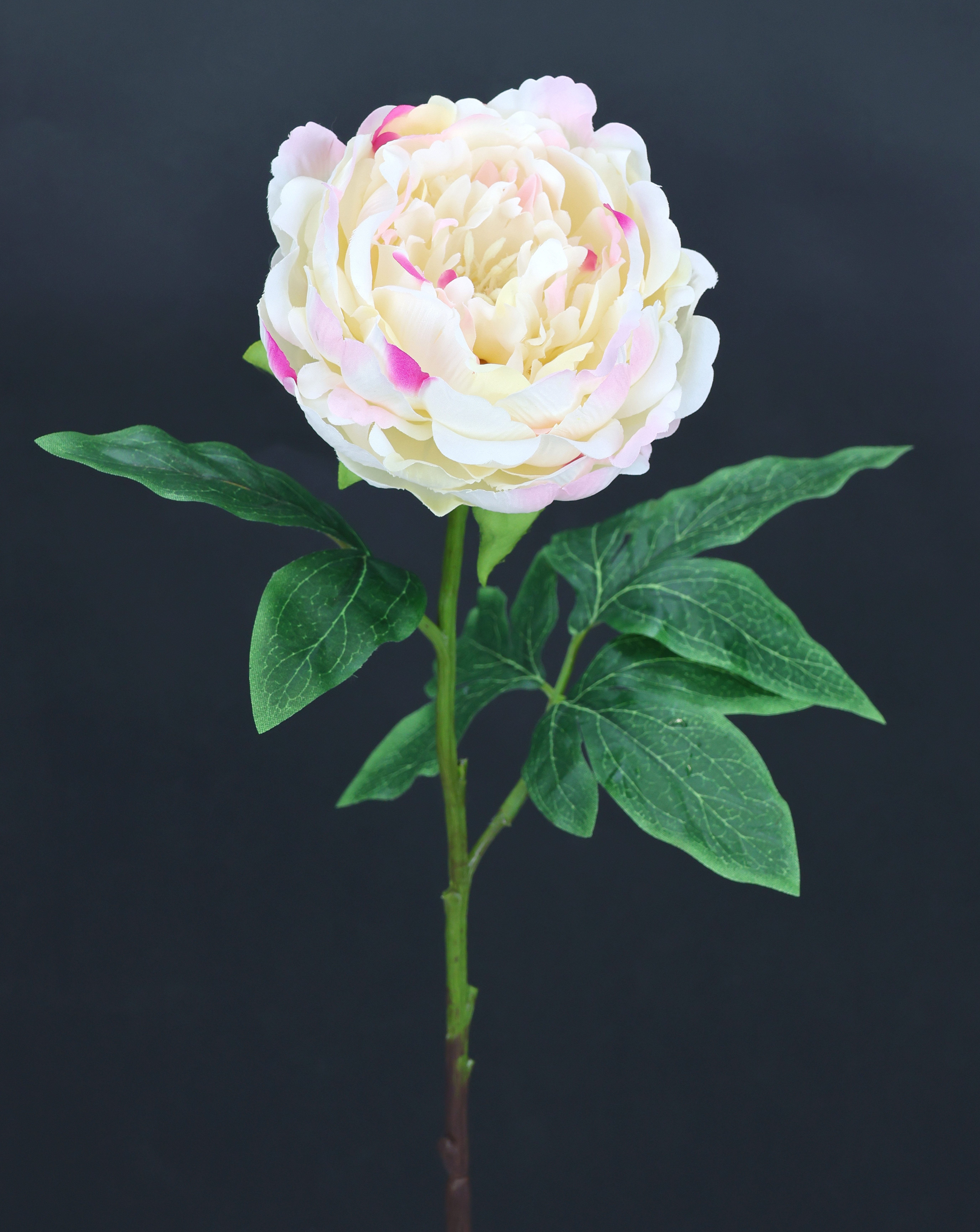 I.GE.A. Kunstbloem Pioenroos Pioenrozen enkele bloem, set van 3 (3 stuks)