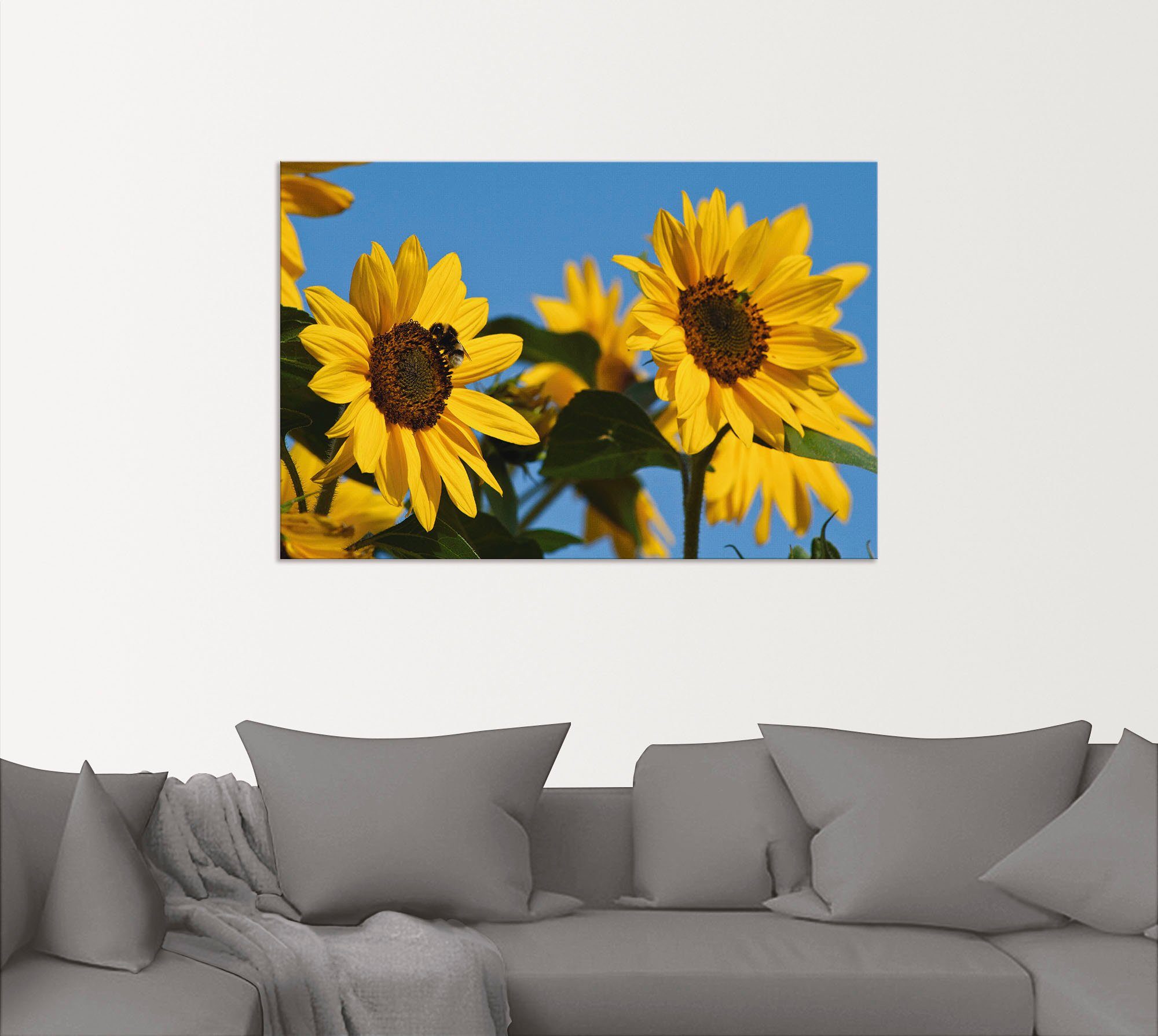 Artland Artprint Zonnebloemen in vele afmetingen & productsoorten - artprint van aluminium / artprint voor buiten, artprint op linnen, poster, muursticker / wandfolie ook geschikt