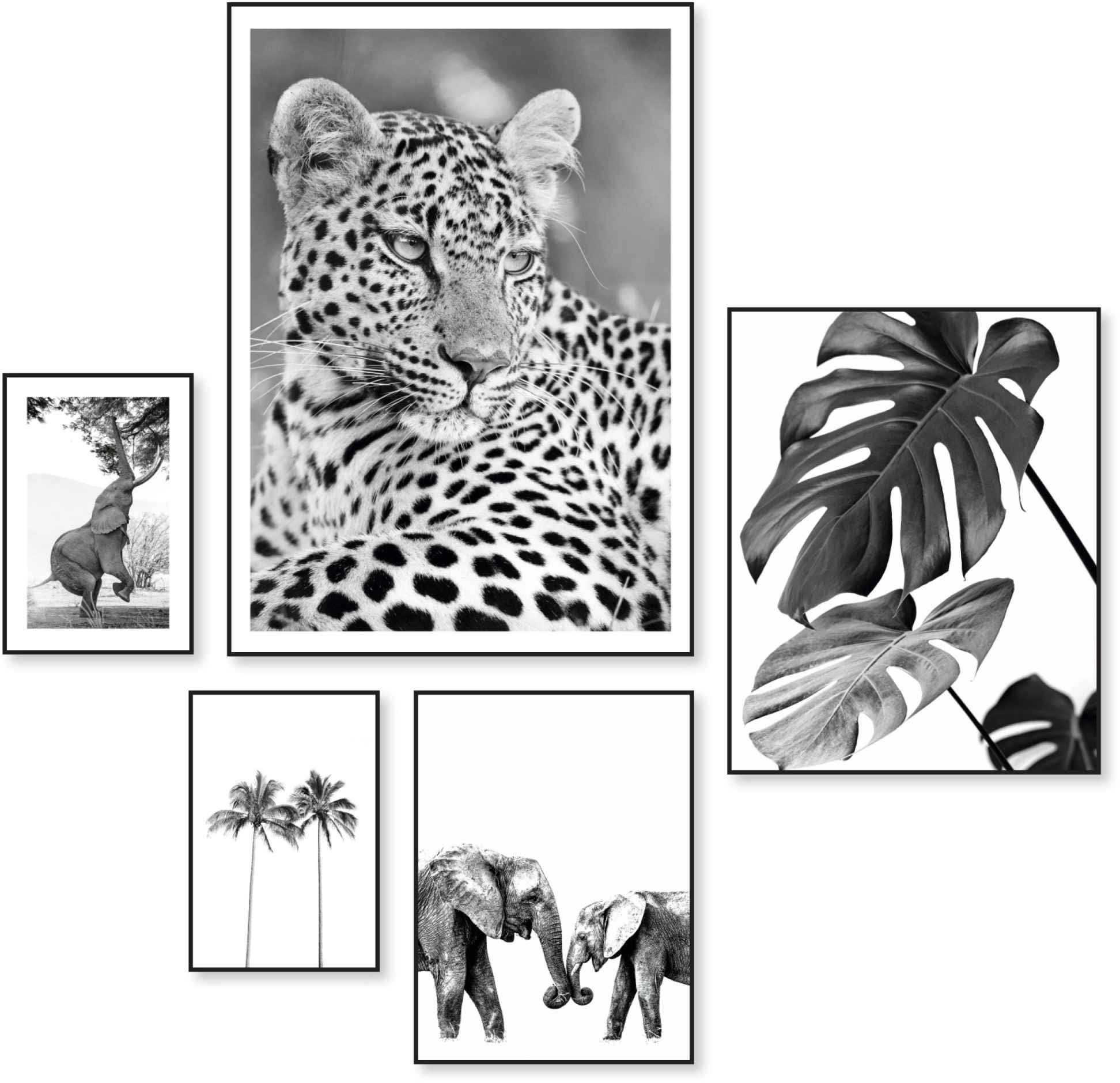 Reinders! Artprint Wilde dieren Afrika - botanisch - natuur - gatenplant (5 stuks)