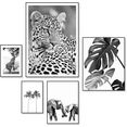 reinders! artprint wildtiere afrika - botanisch - natur - monstera (5 stuks) zwart