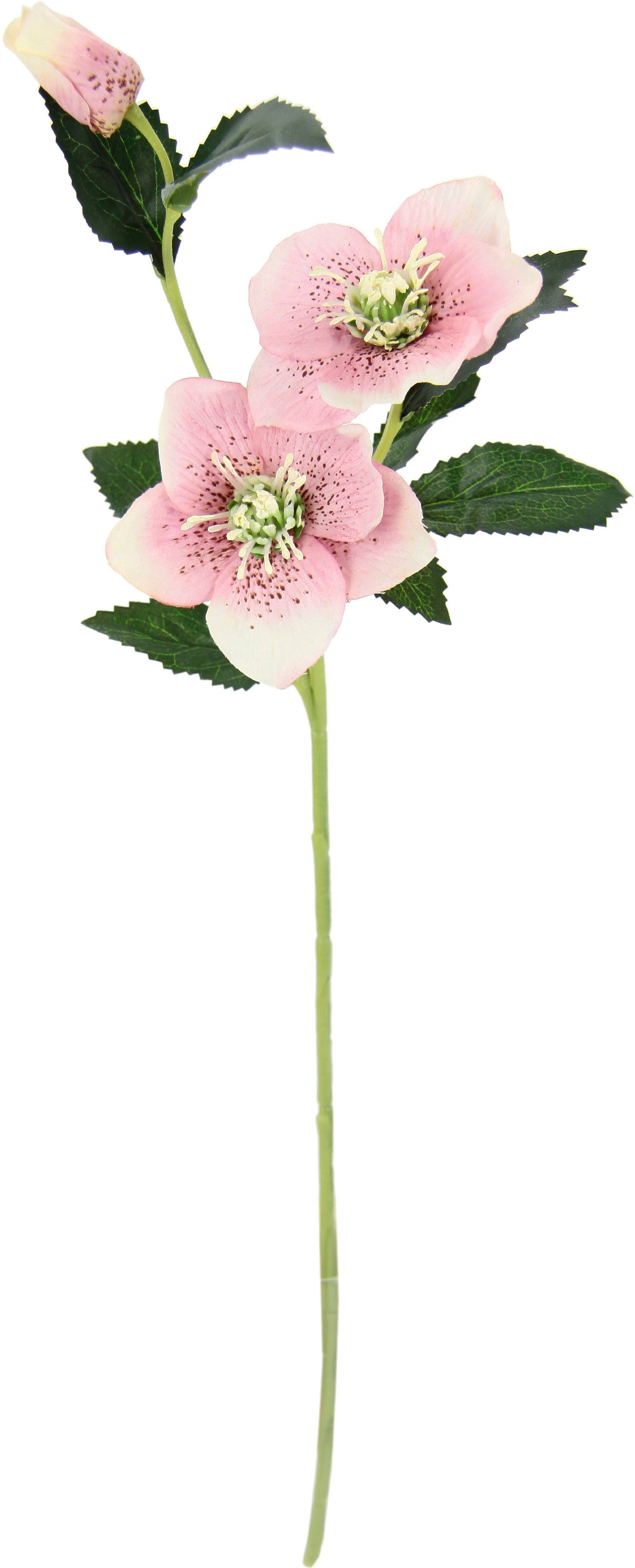 I.GE.A. Kunstbloem Kerstroos Kunstmatige zijden bloemen, 5-delige set (5 stuks)