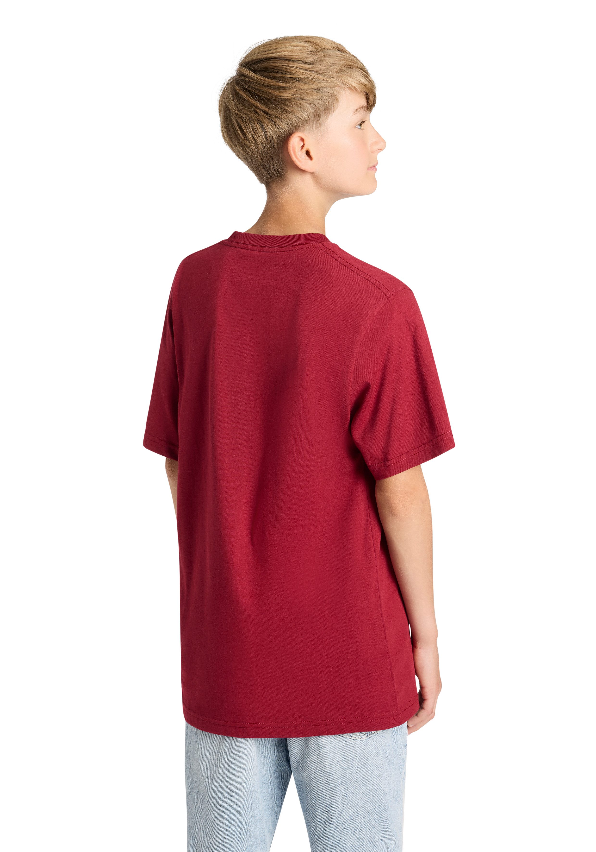 Vans T-shirt BYVANSCLASSICBOYS