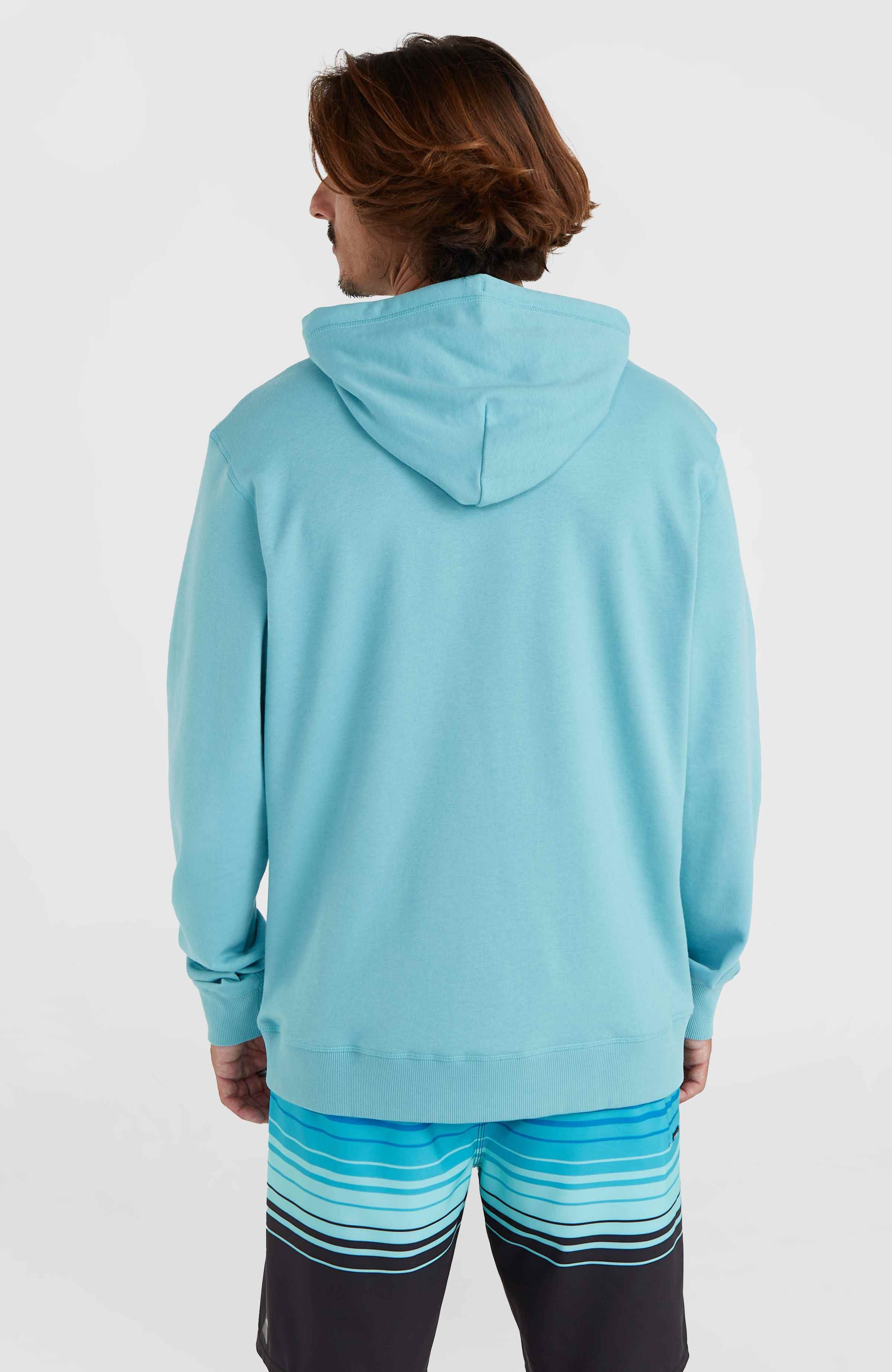O'Neill Hoodie O'NEILL LOGO HOODIE