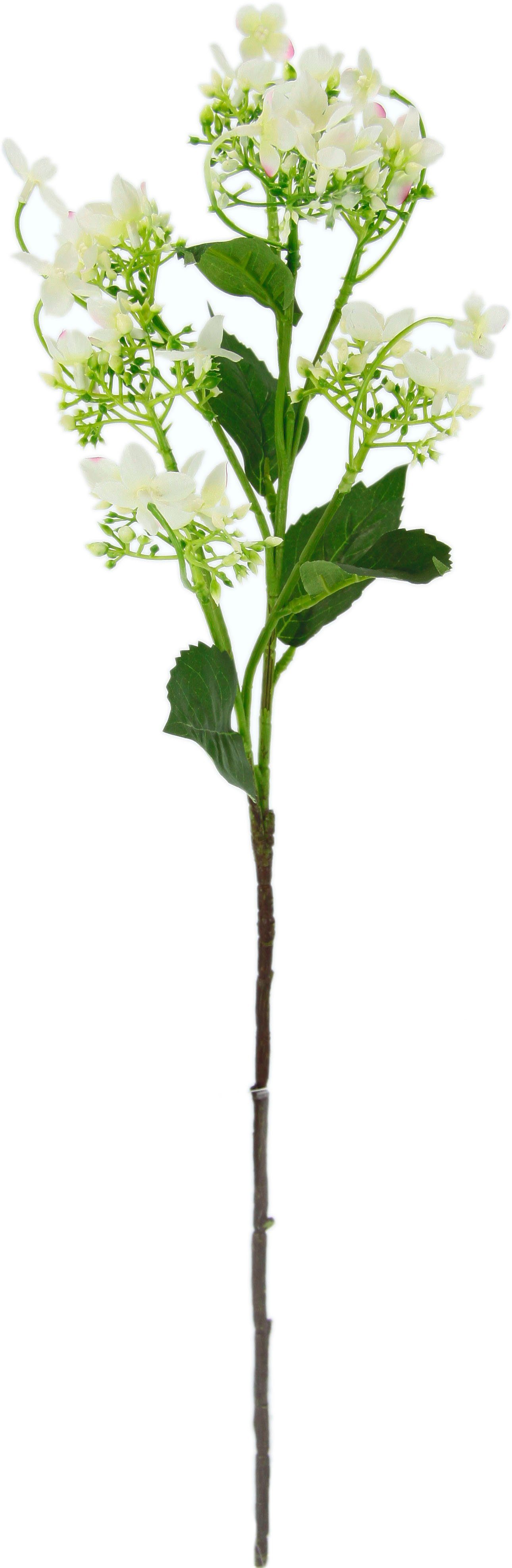 I.GE.A. Kunstbloem Bloementak set van 5 kunsttak, kunstplant, deco-tak (5 stuks)