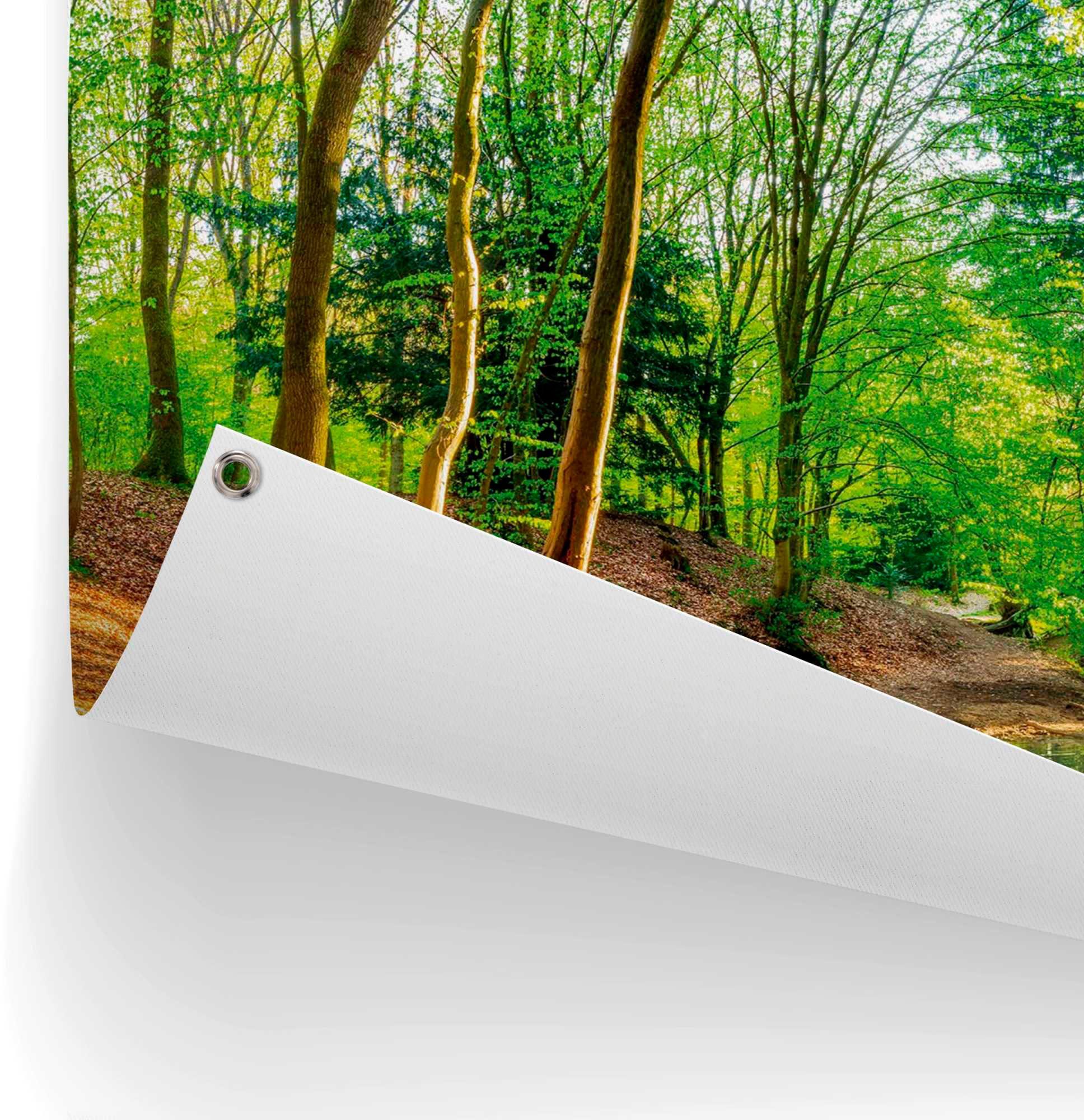 Reinders! Poster Zonnig bos