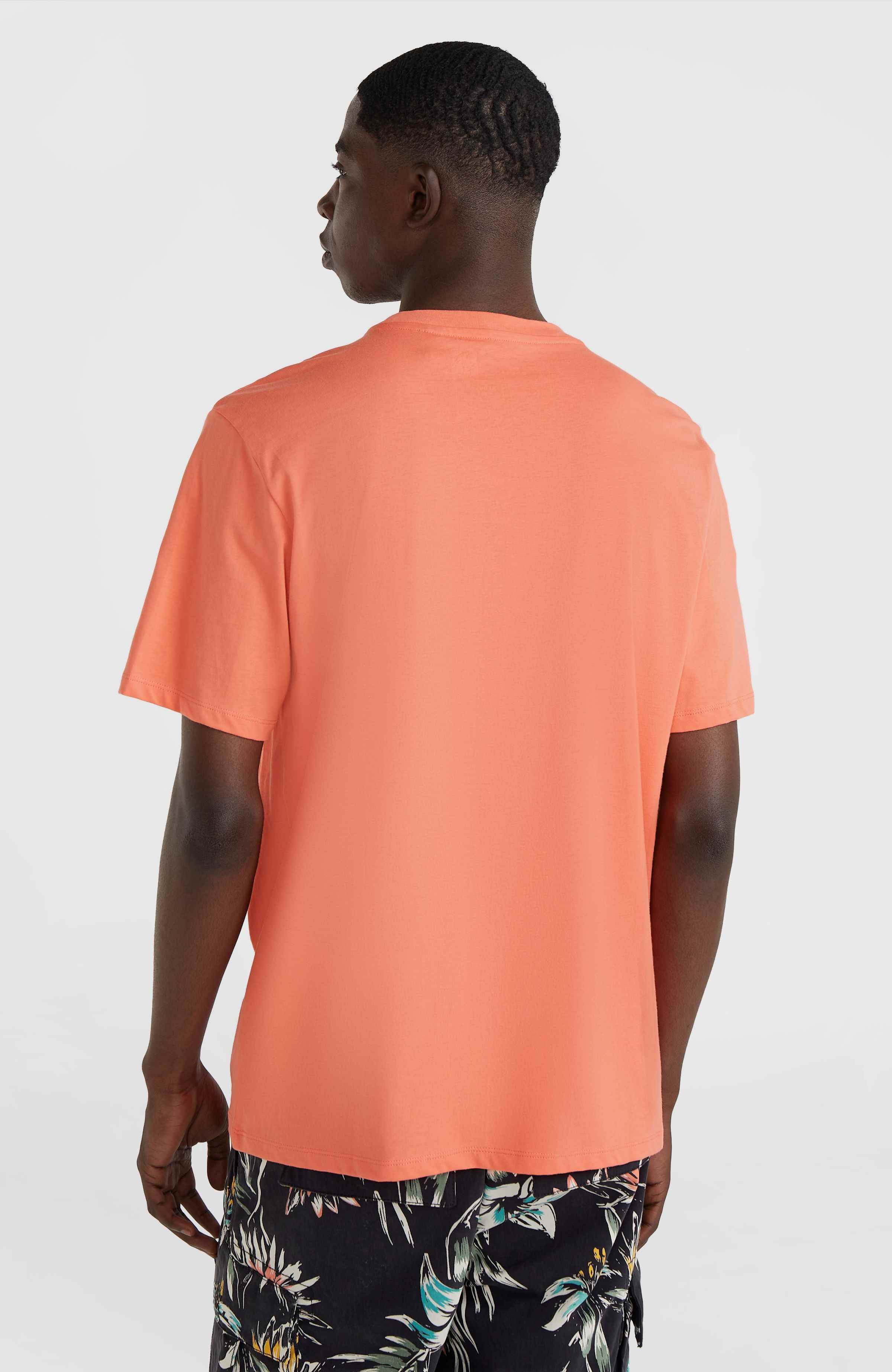 O'Neill T-shirt O'NEILL SMALL LOGO T-SHIRT