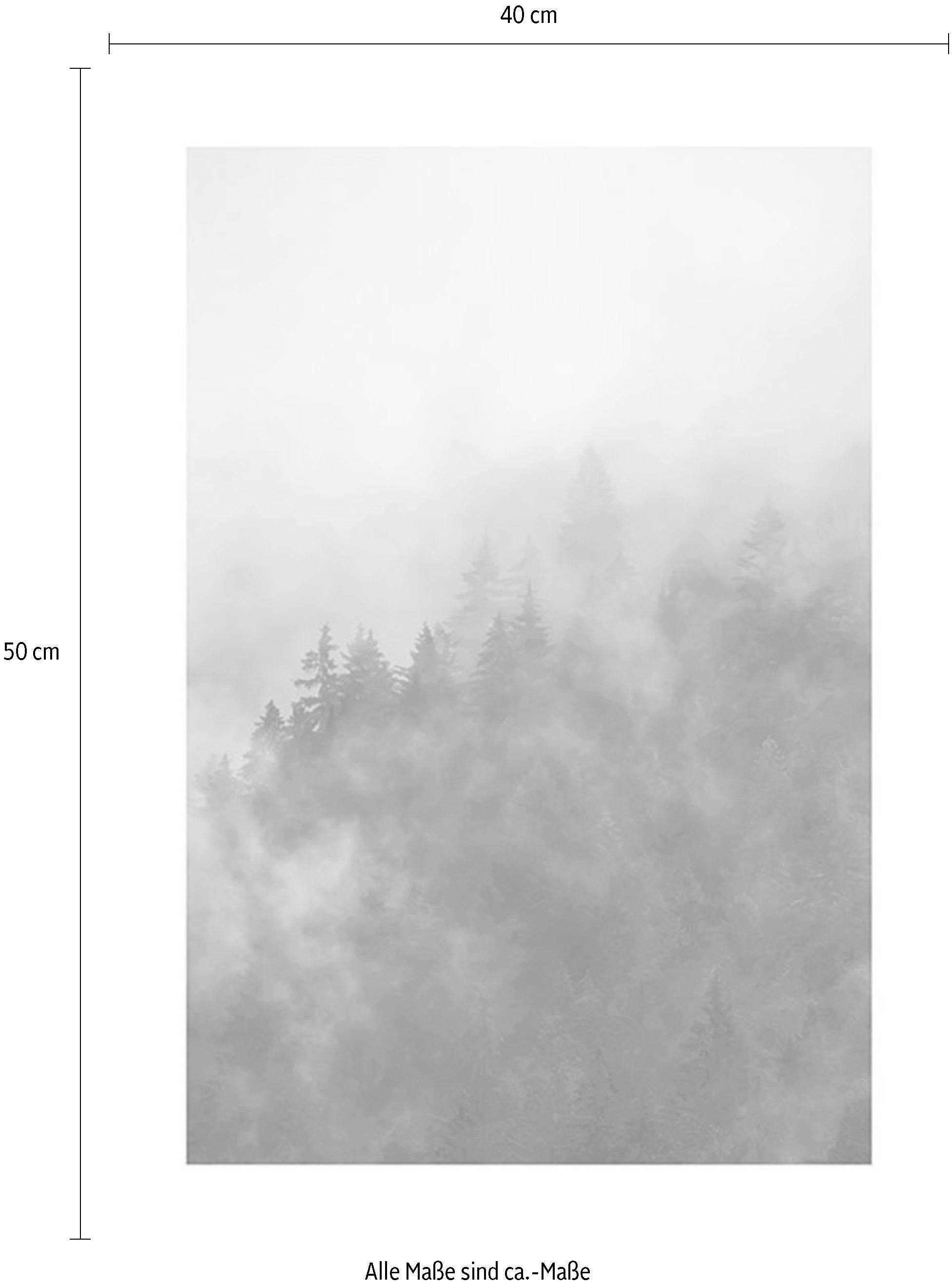 Komar Wanddecoratie Dal of the Carpathians Wanddecoratie - zonder lijst (1 stuk)