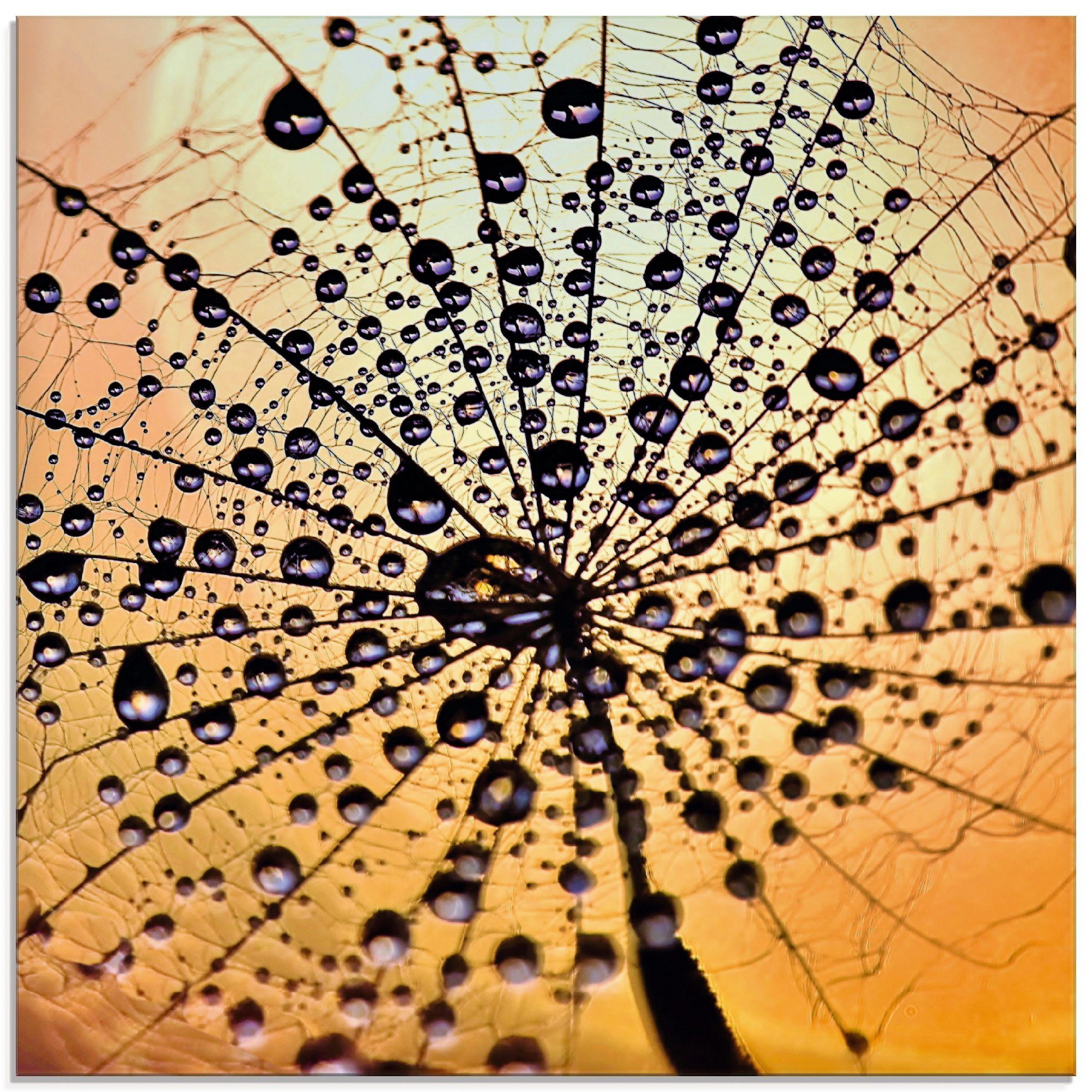Artland Print op glas Pluizenbol druppelvanger