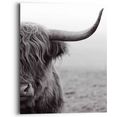 reinders! artprint highlander stier diermotief - close-up - schotse hooglander (1 stuk) zwart